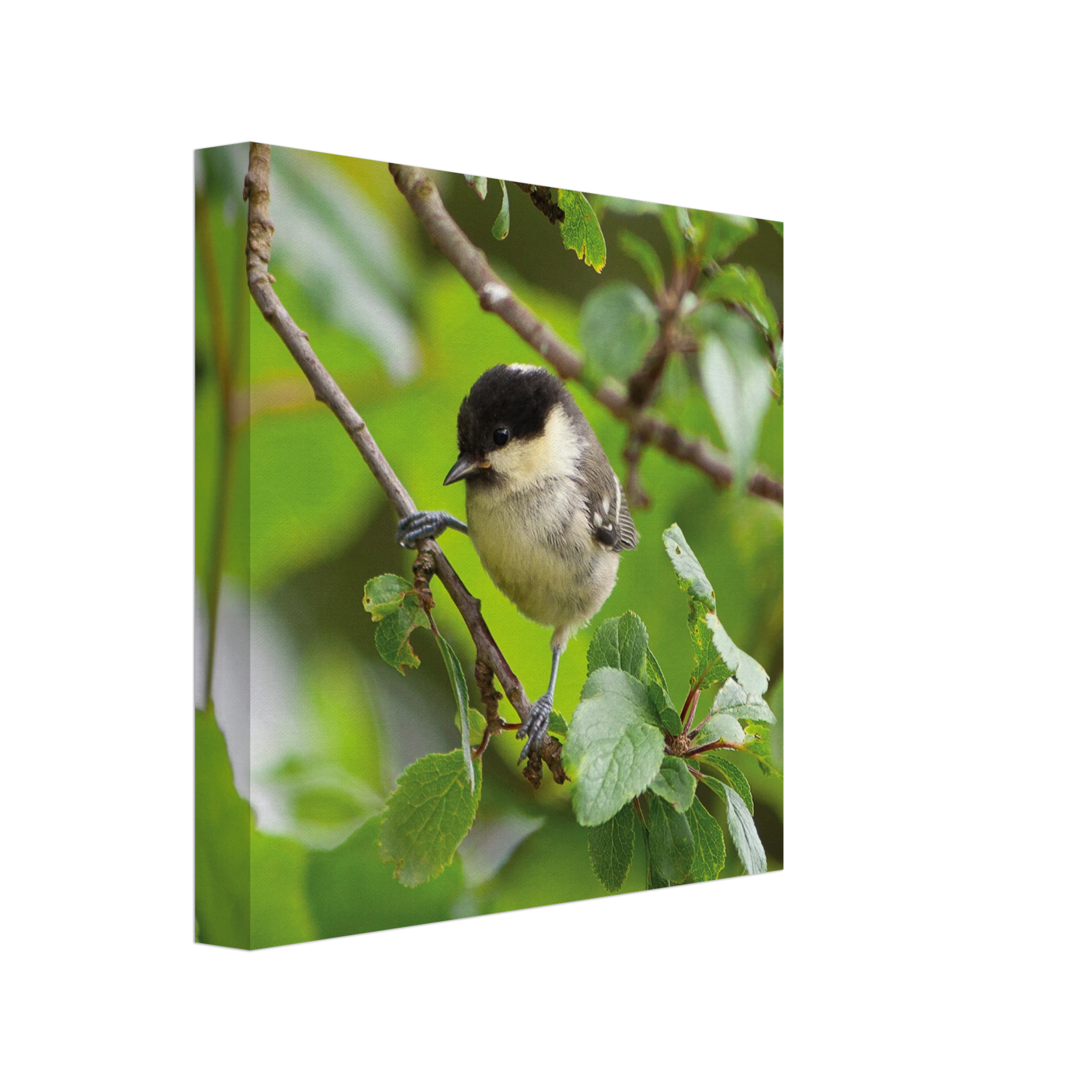 83c64a36-acb9-4943-95cb-bf4db68ce0a1