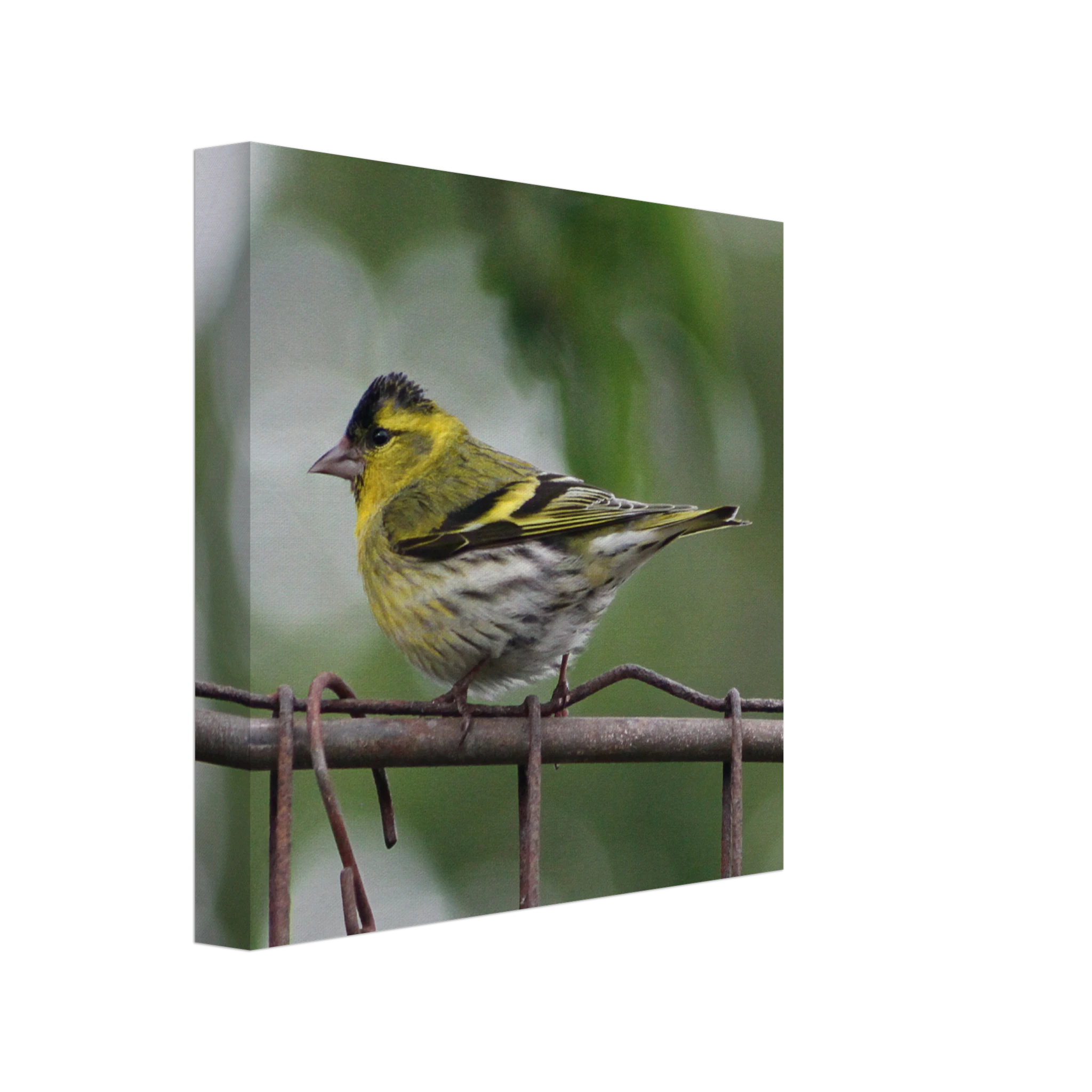 8e1dc5e2-16f1-4a41-8486-c1251f19c458