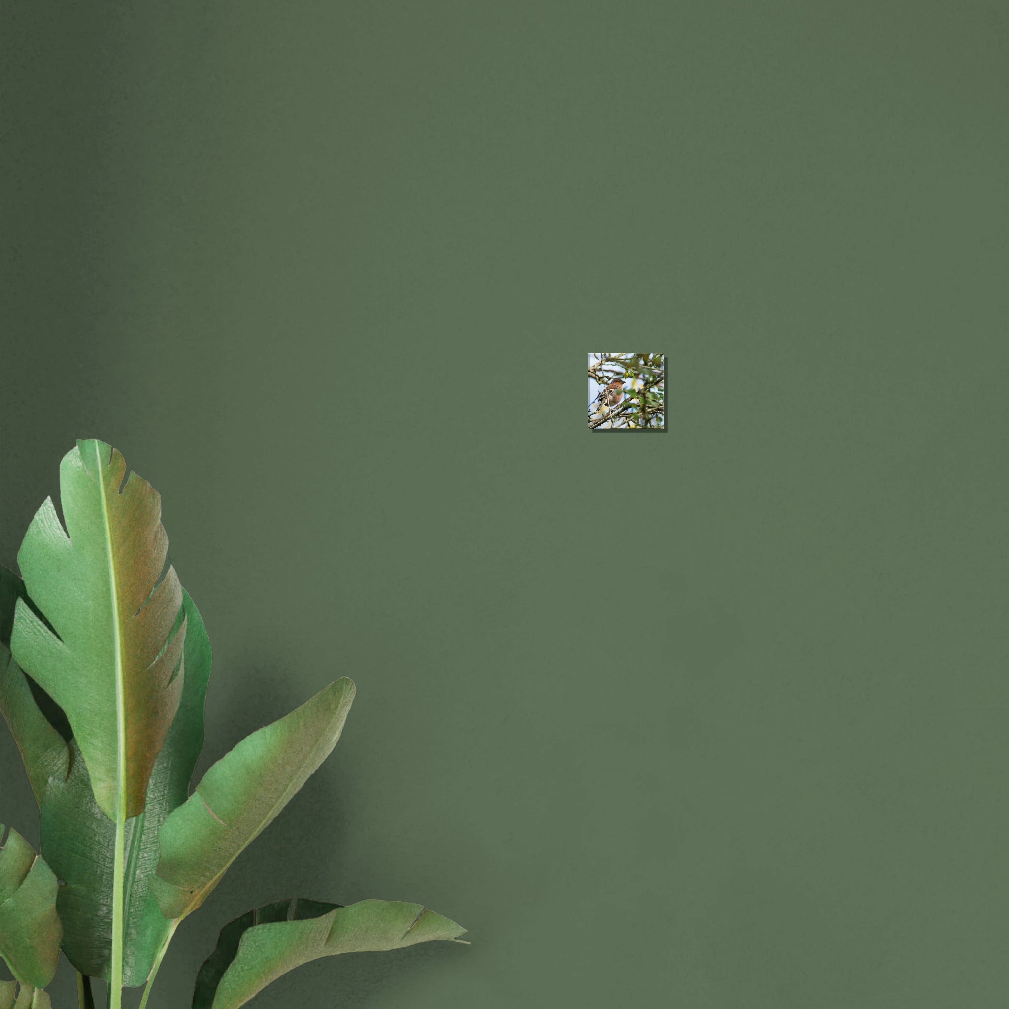 8f3aae53-5d6d-424c-821d-09c5591f1fe2