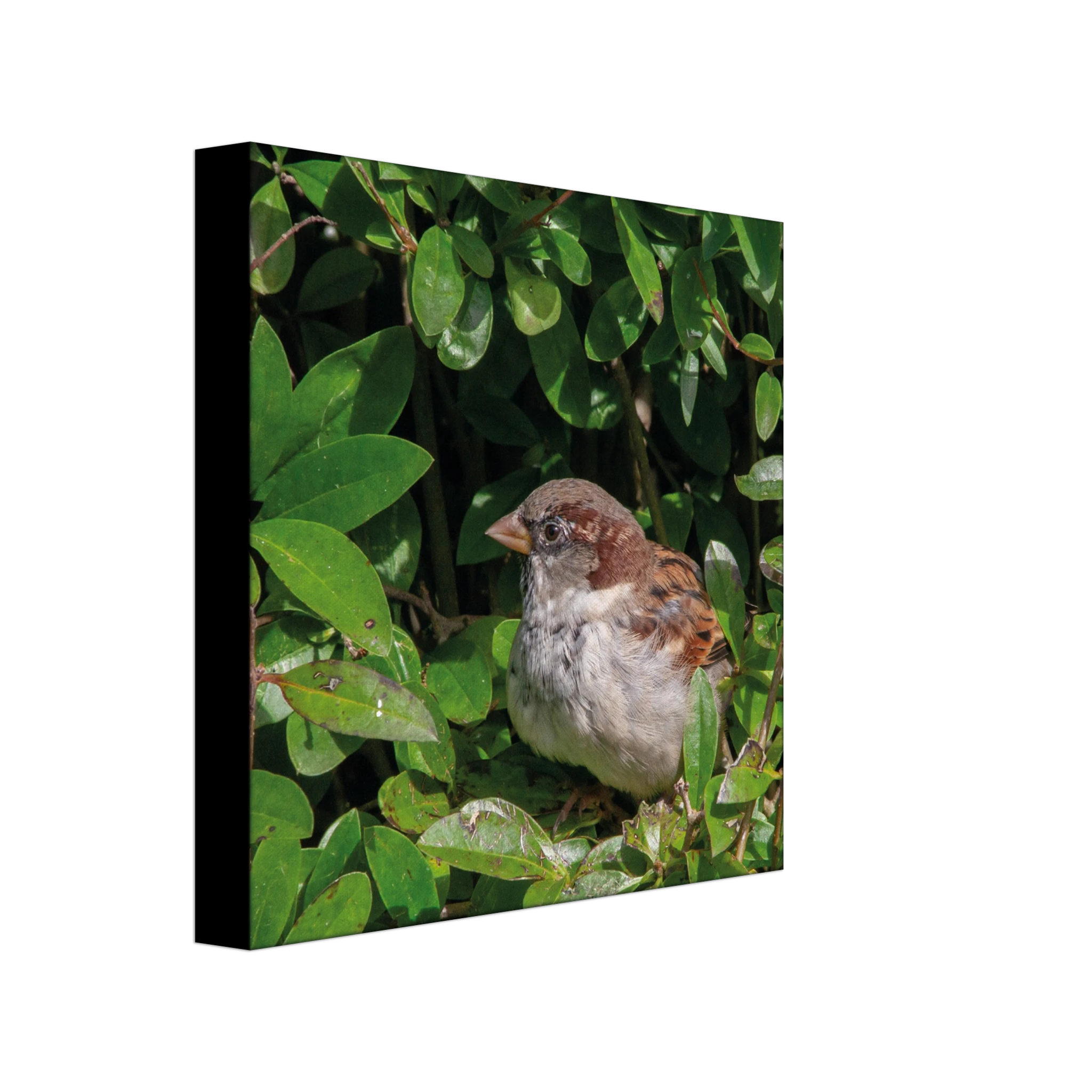 93e5dc7d-c9f4-4503-91fd-635d9ba8cc18