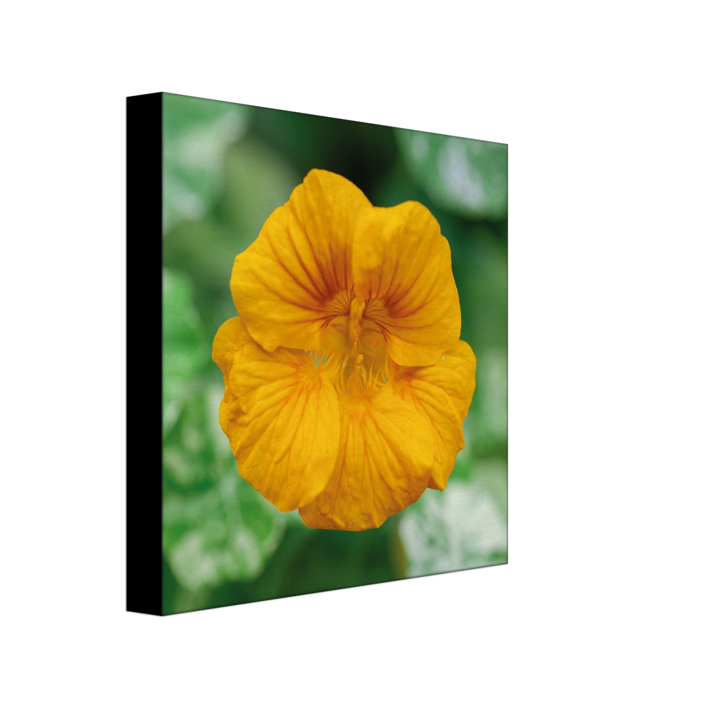 967f7153-7caa-403b-9557-652d7ebf24be