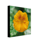 967f7153-7caa-403b-9557-652d7ebf24be