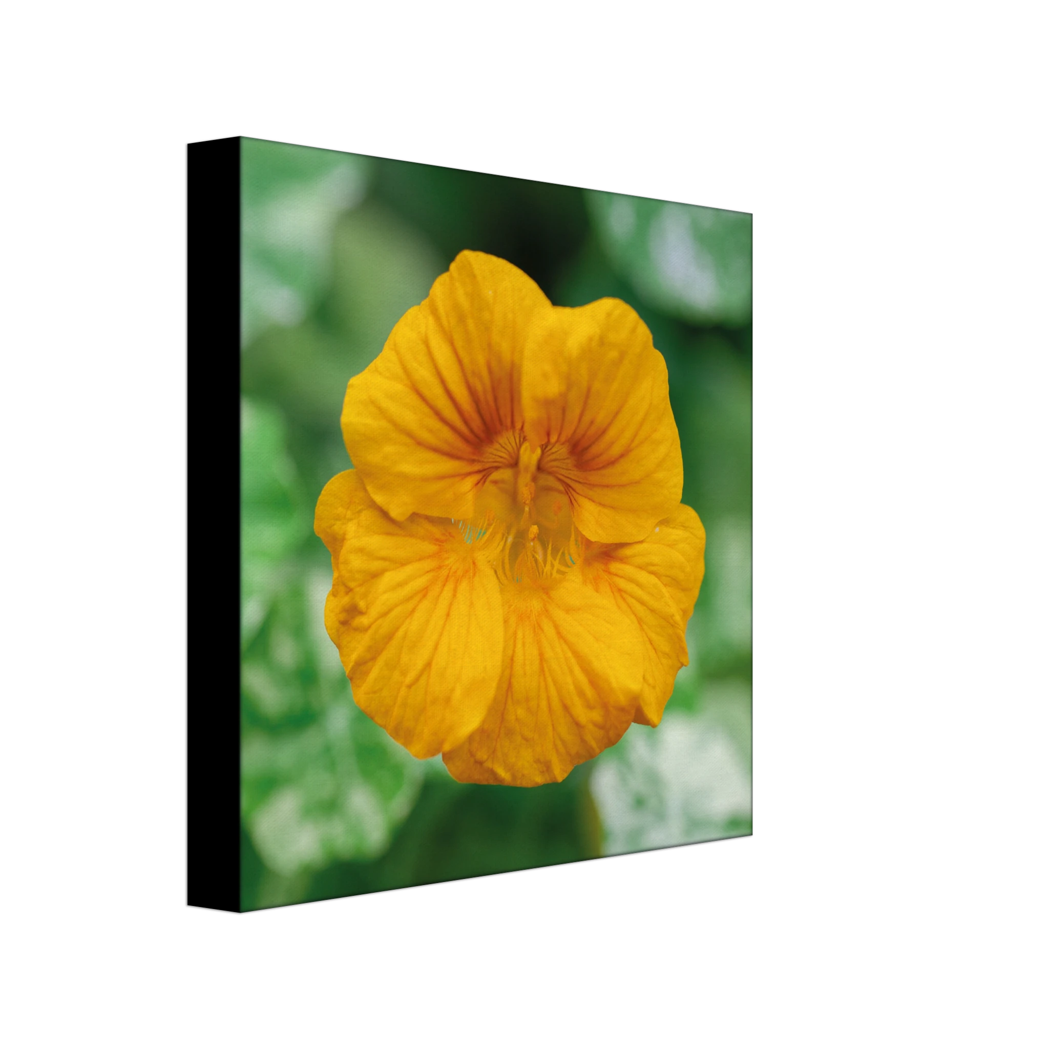 967f7153-7caa-403b-9557-652d7ebf24be