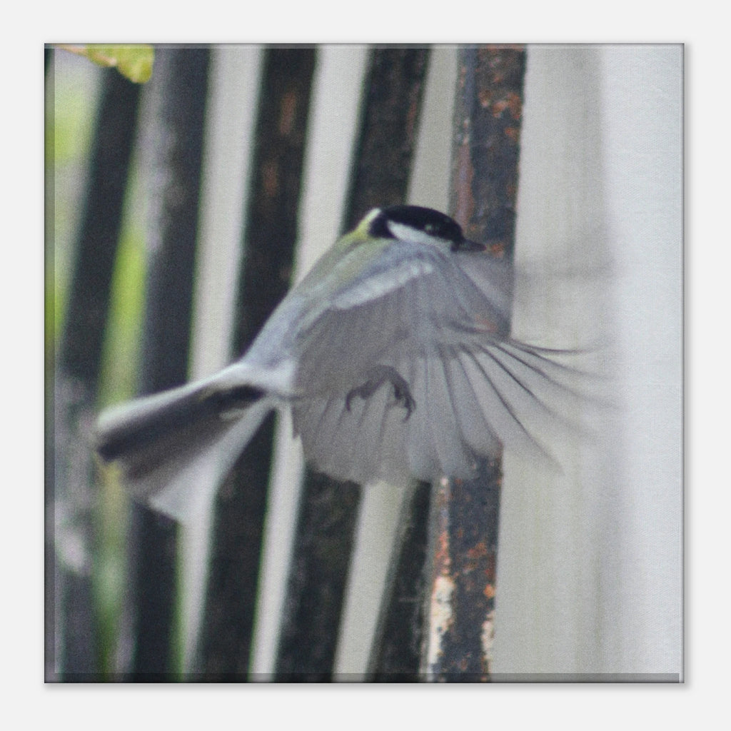 96de2367-2b03-4374-8294-0c6b39a0bb9e