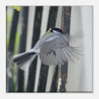 96de2367-2b03-4374-8294-0c6b39a0bb9e