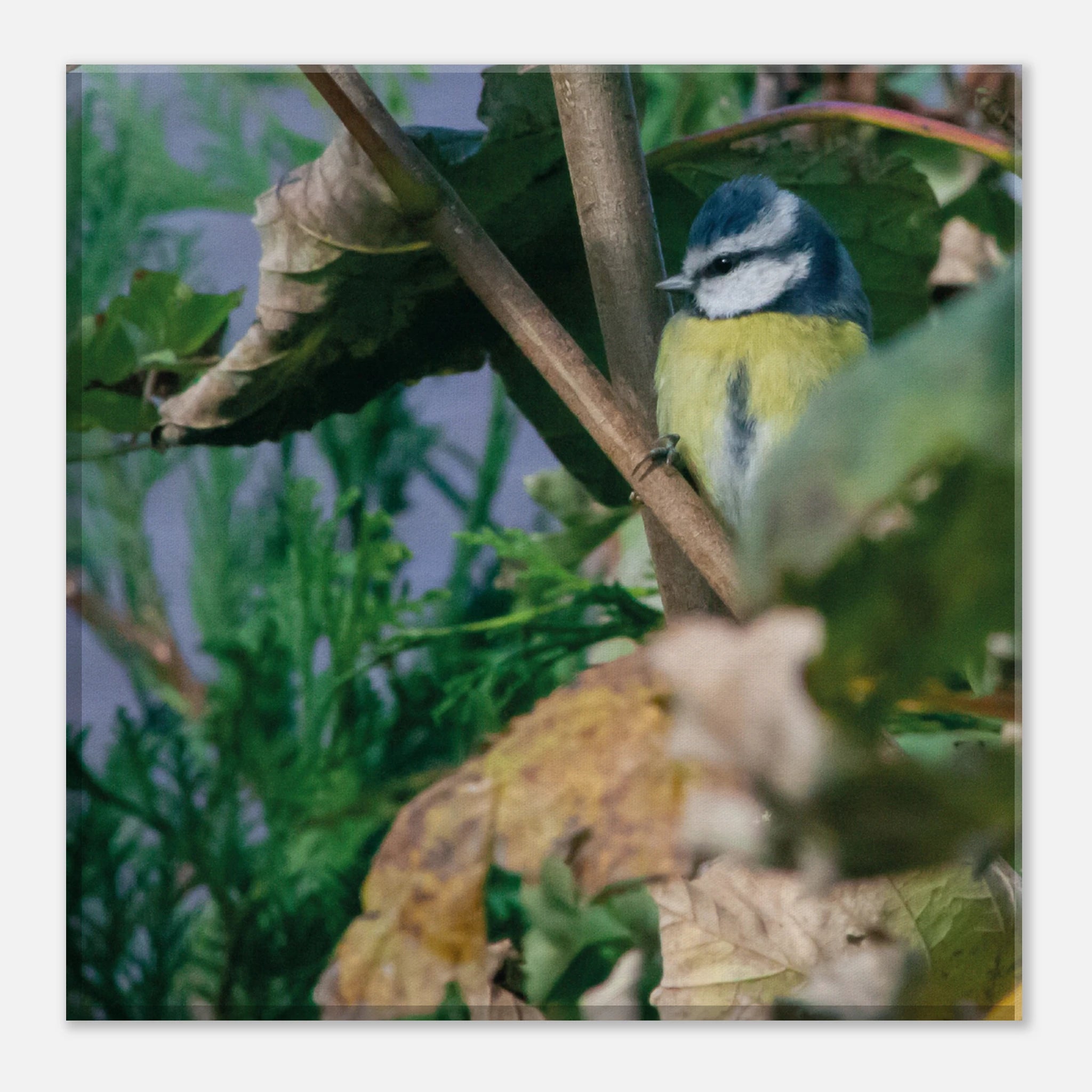 985b7a62-9b51-4ed8-95ad-bc2529fe82b5