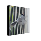 a78c47d1-bb39-4ae9-9cc0-9c3baa28bb8d