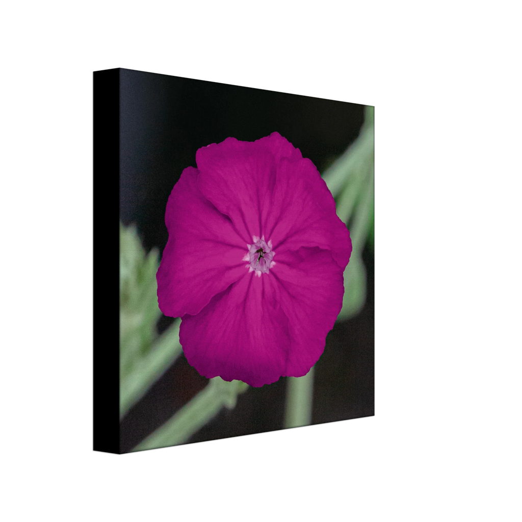 aab8649c-ec8b-422e-b27a-893ff0514662