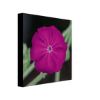 aab8649c-ec8b-422e-b27a-893ff0514662