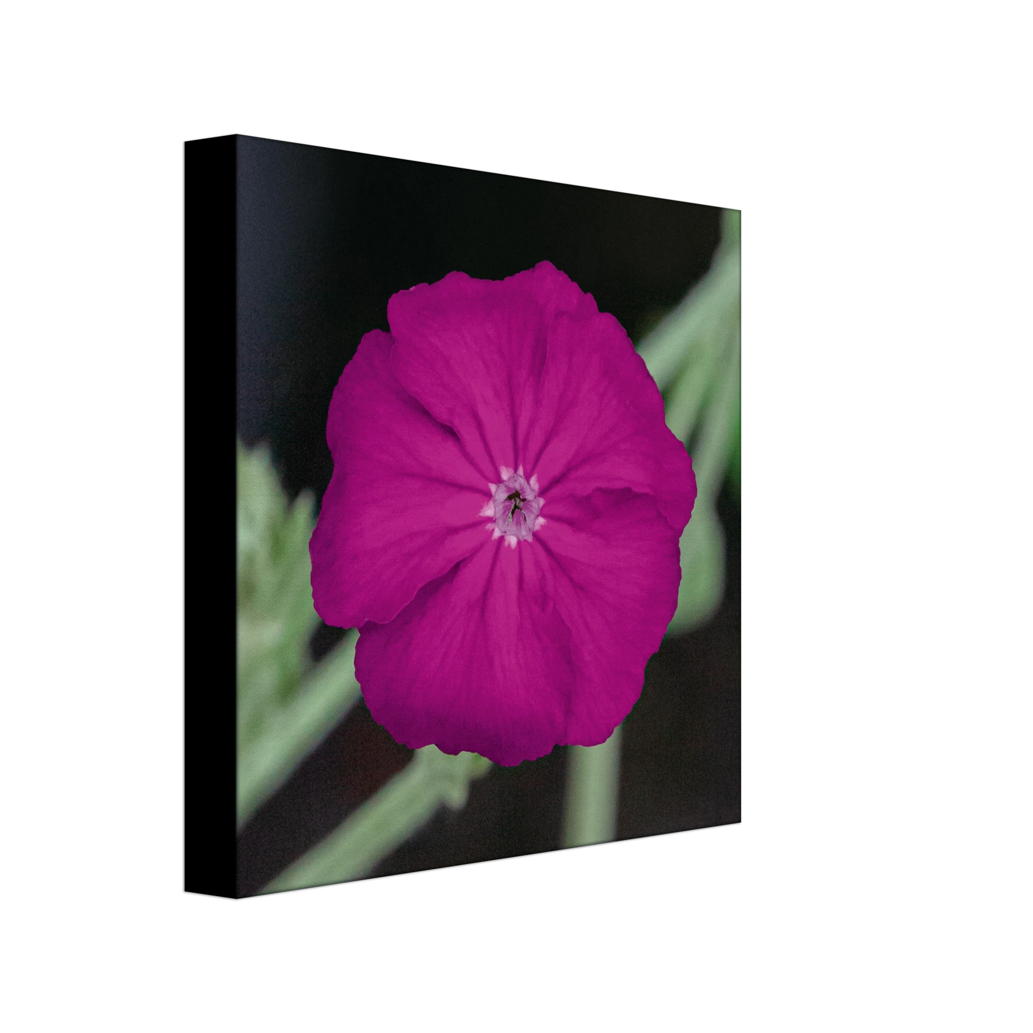 aab8649c-ec8b-422e-b27a-893ff0514662