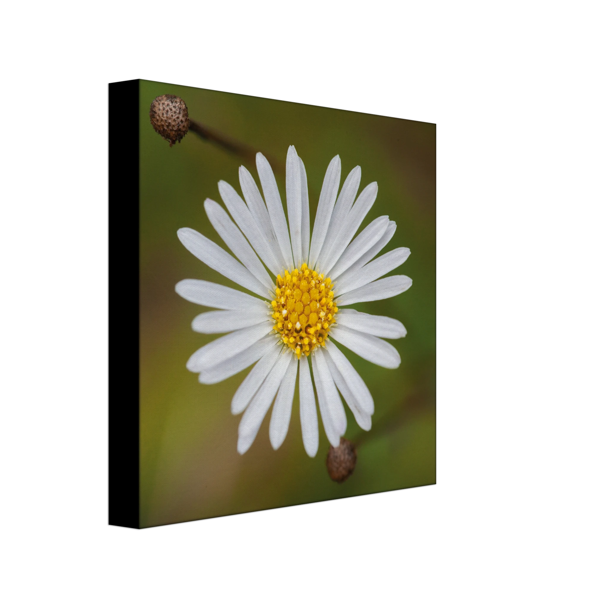 b1106b44-1204-4134-9223-cbe3185bbf00