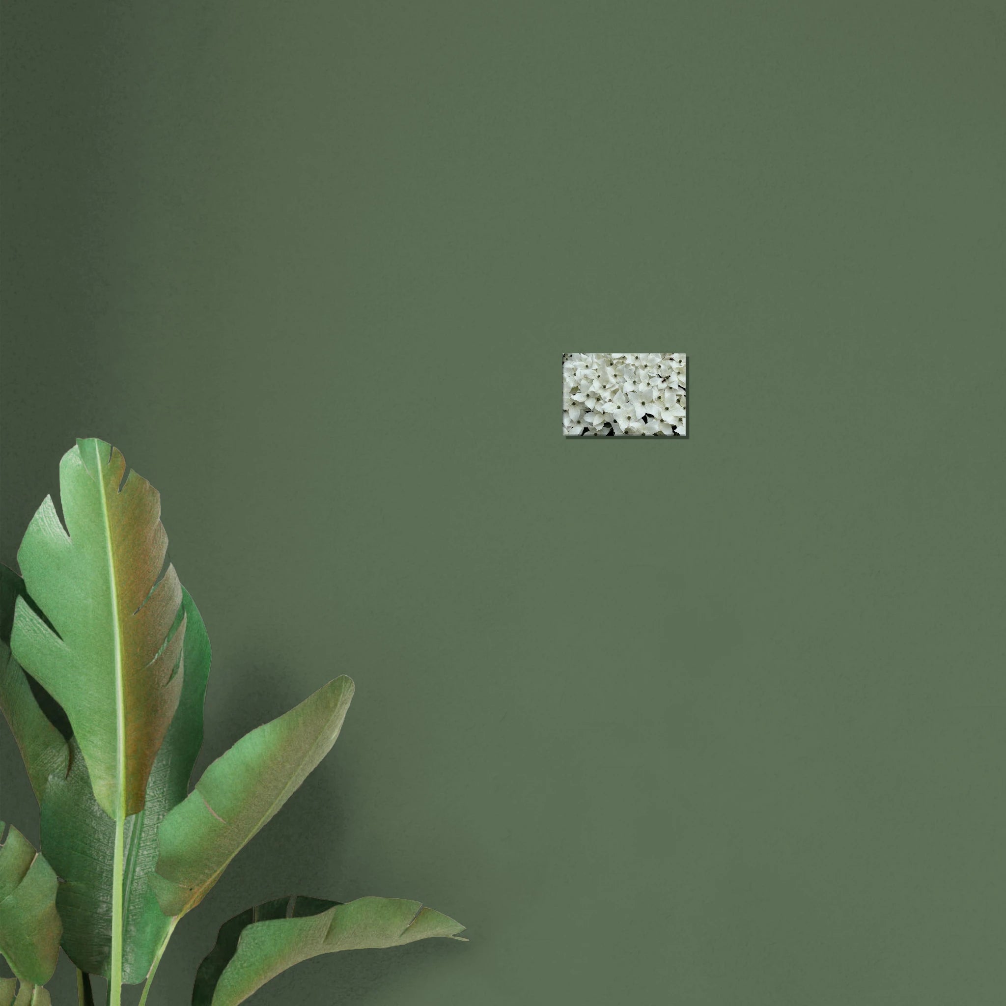 b4751579-bad4-4dc9-91b9-62af974c1445