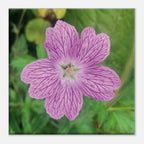 b4d0333c-0606-4c2c-9e02-d42782837eed