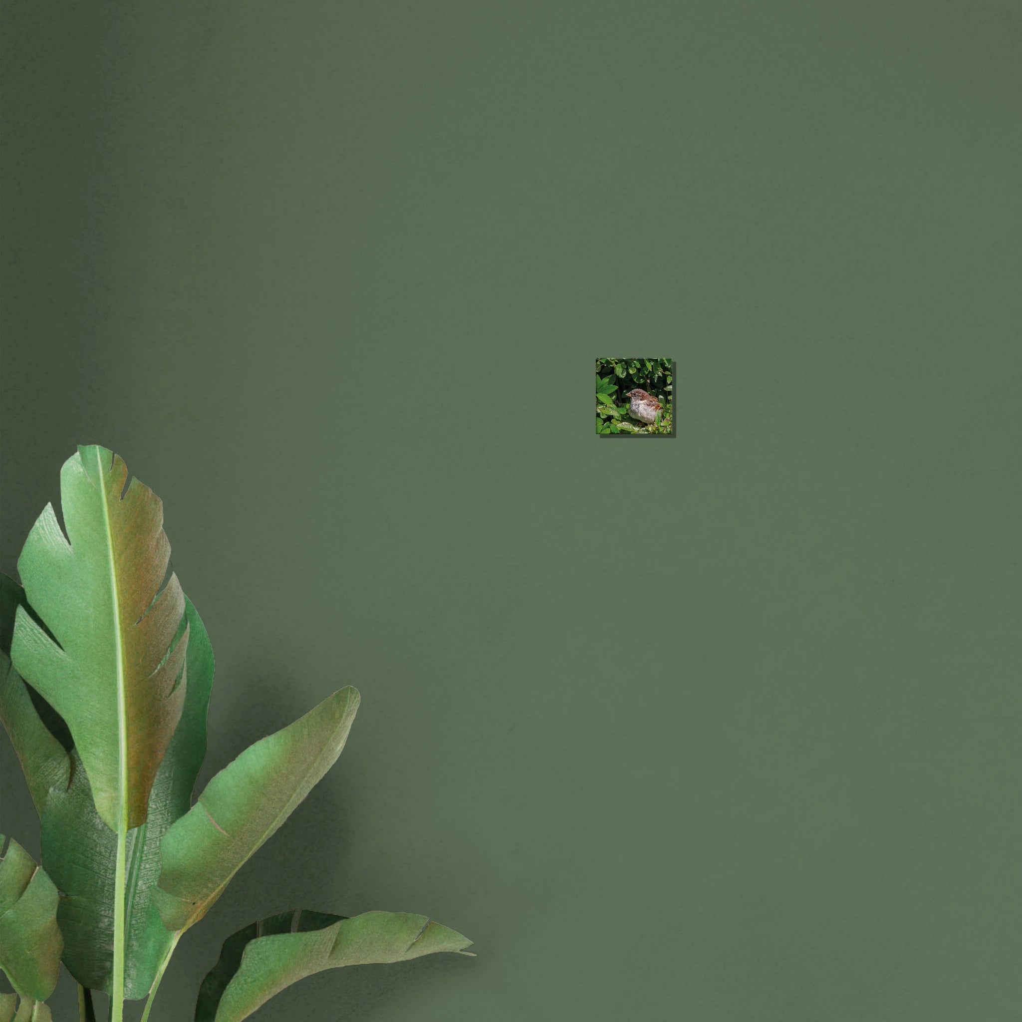 b7b87d50-10ea-44dd-9876-5a07b201eb4e