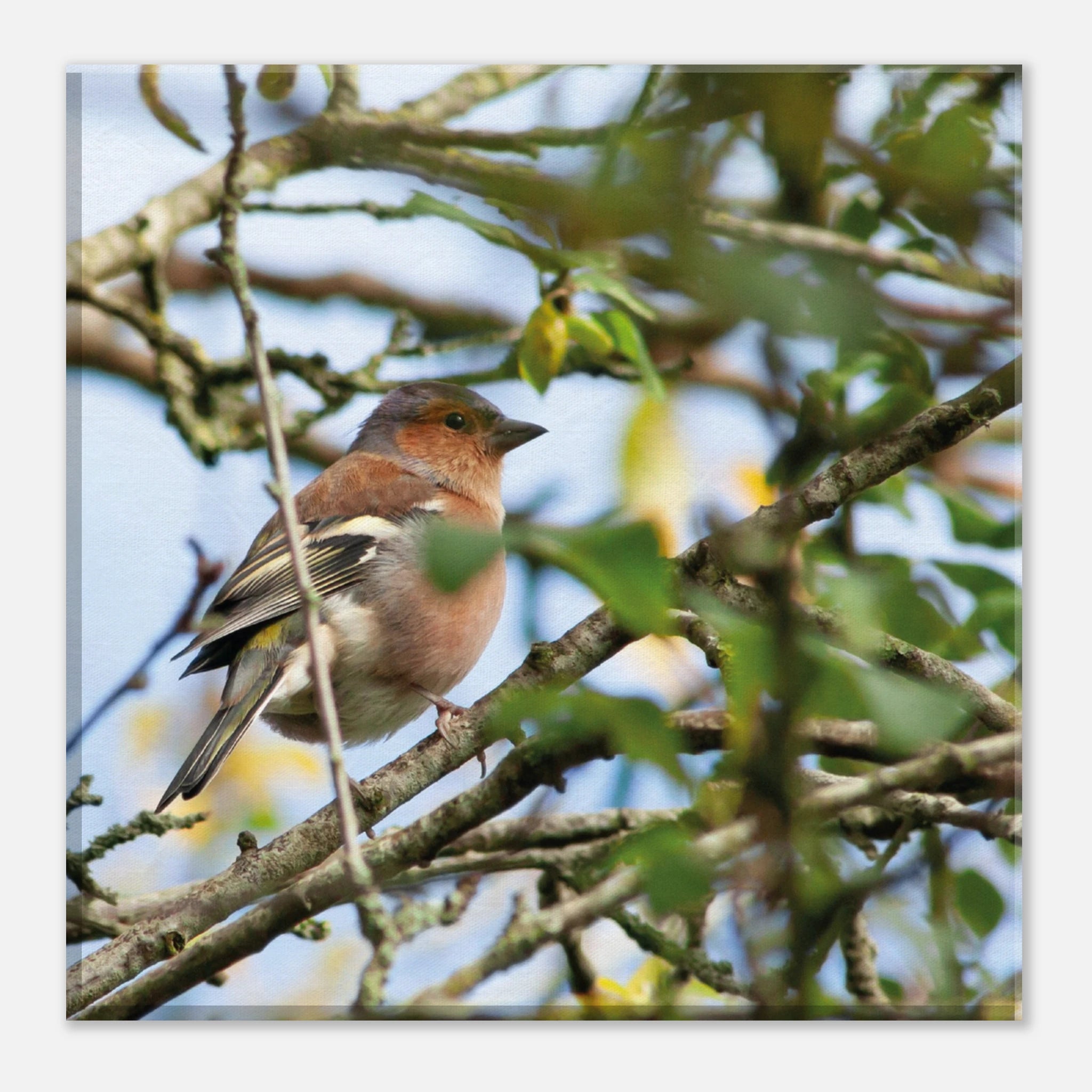 b7dd30d6-03c9-4f8f-8525-2b24eeefbdbc