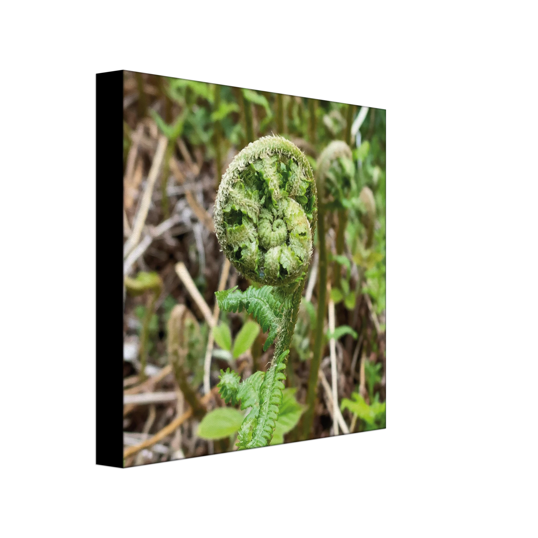 b8941a61-688f-45d2-b5e7-eab68256a522