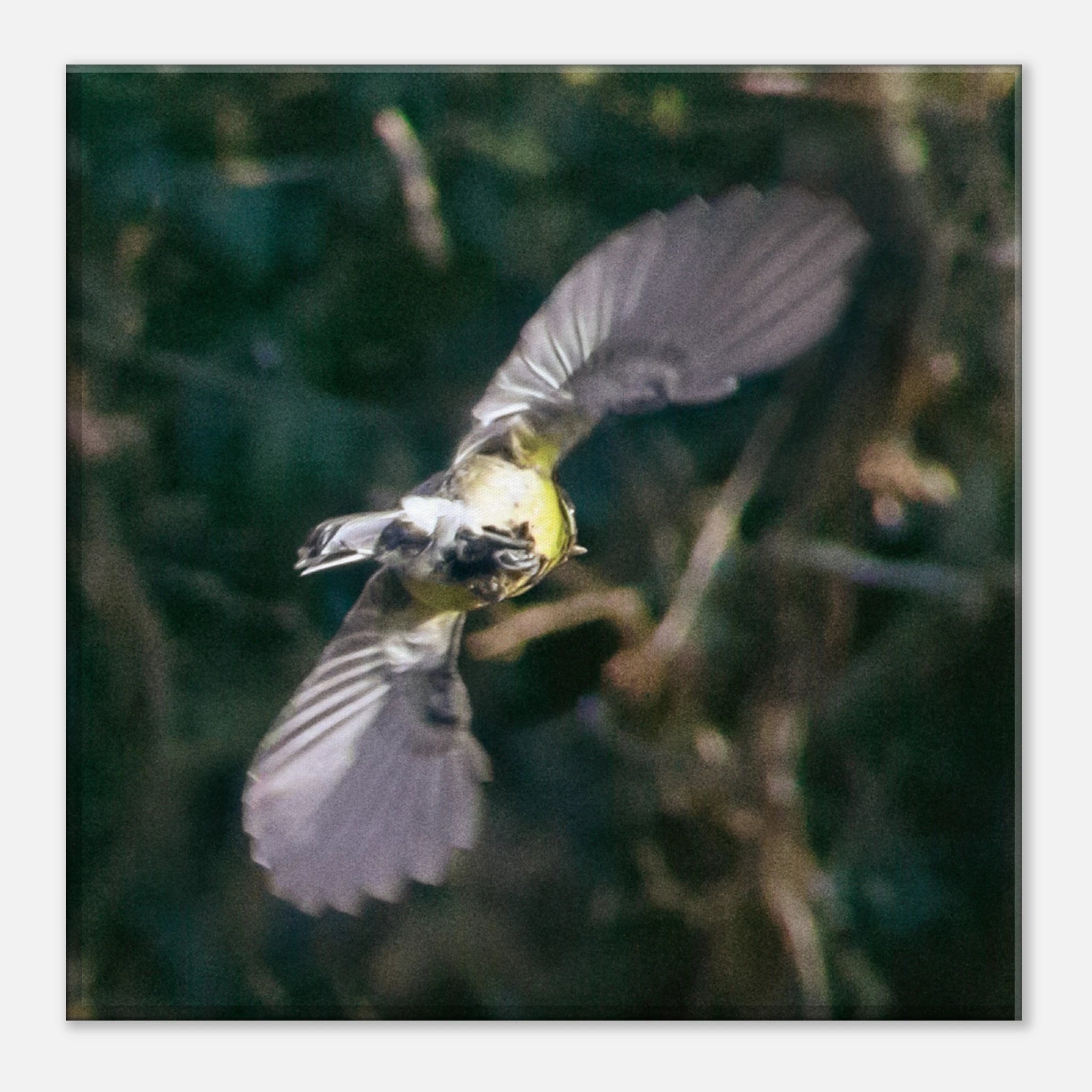 bad5a0b5-d09d-4a2e-ab9d-89f7b73fd666