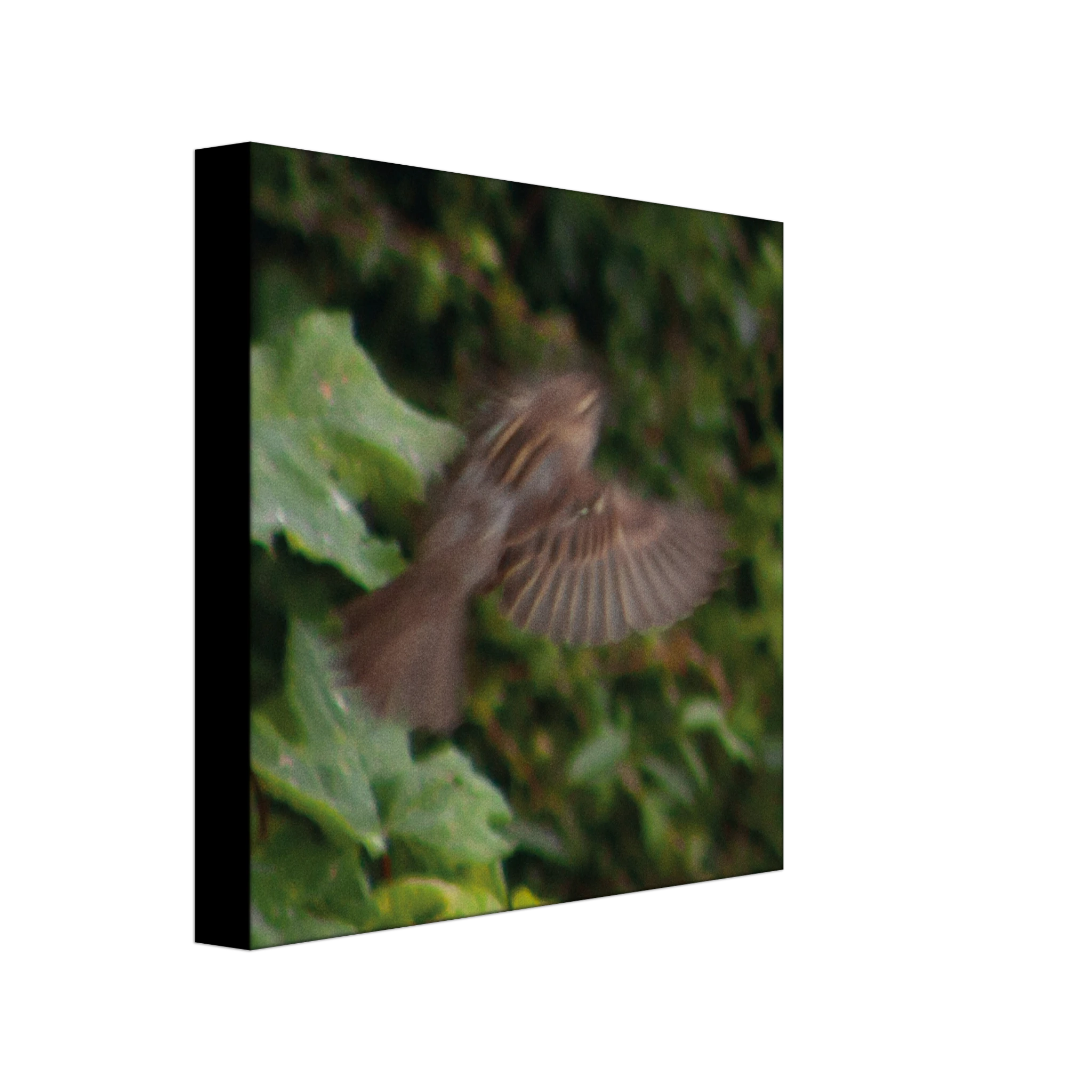 bd4f232b-035e-4c22-b018-858aa8cfb629