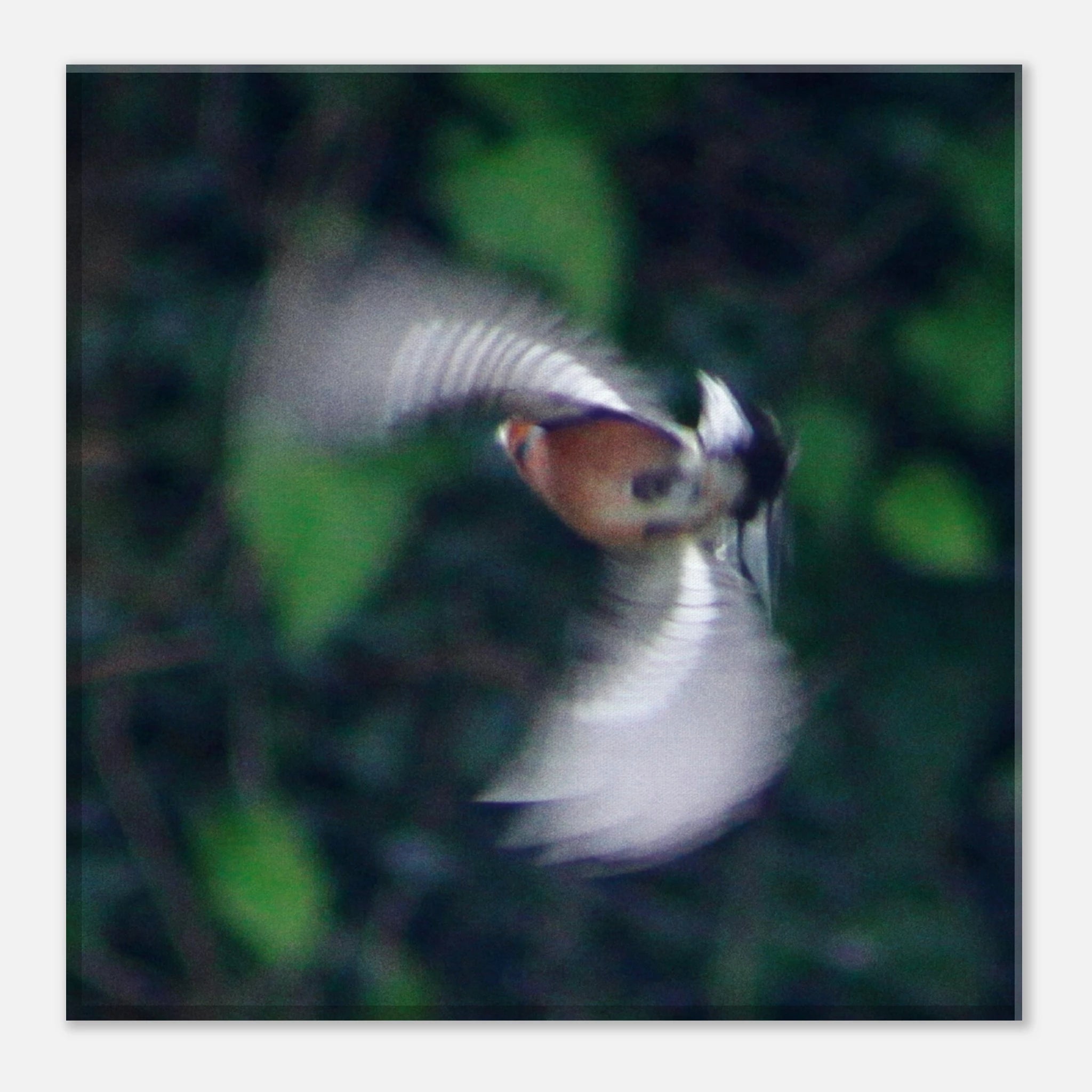 c2fc950d-dacb-4881-b869-8623b55b79fd