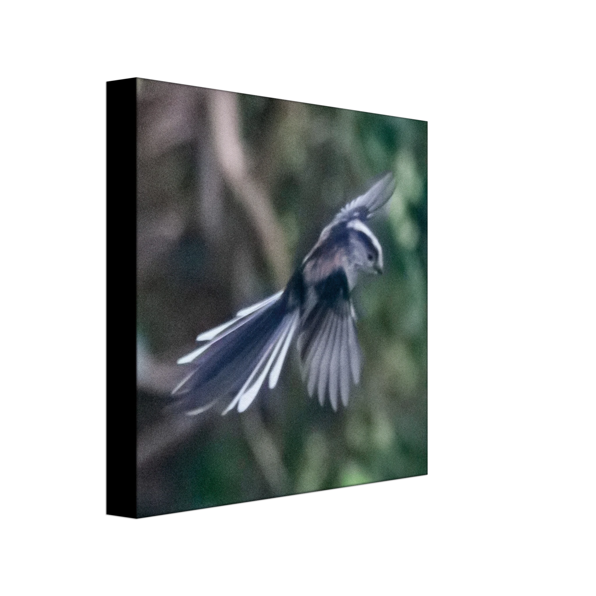 c55de31b-3fe5-452a-83dc-dc485fe131ce