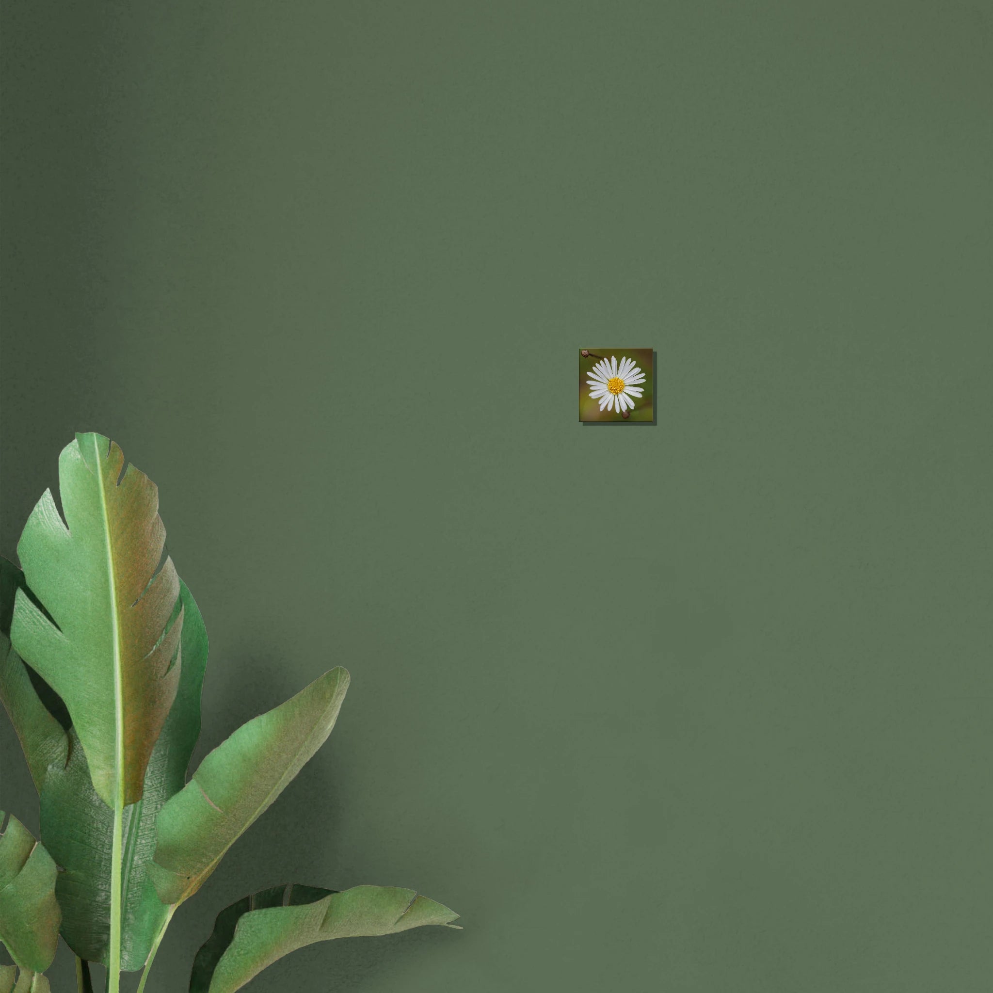 c9dbe1c0-411c-4d33-b52b-759e84fdf493