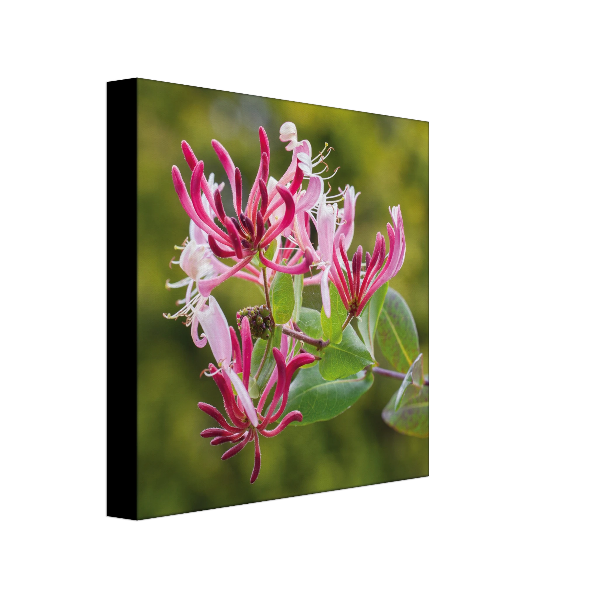 cca6b504-7681-45db-8af2-023656a649ad