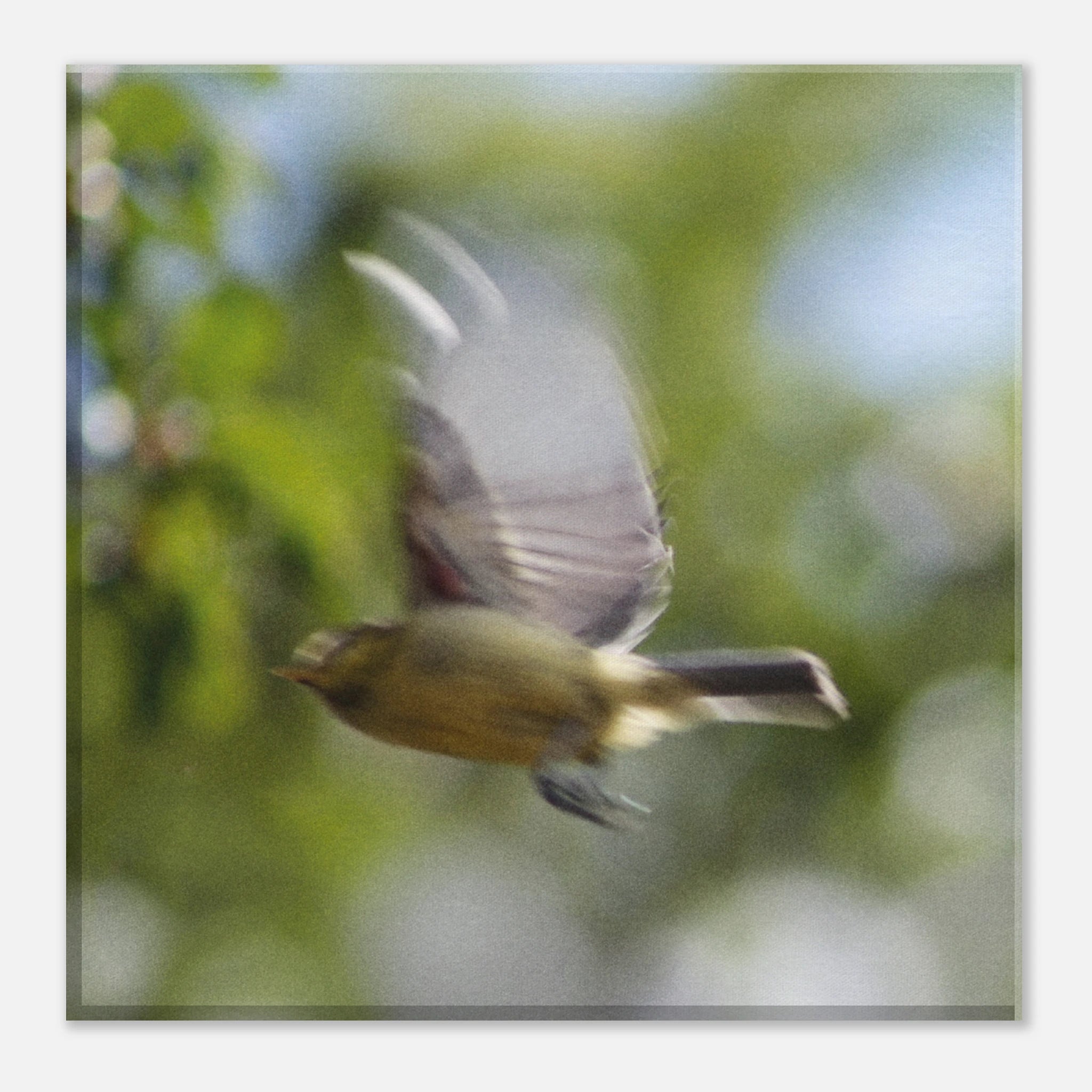 ccd002c9-adb1-49cd-b534-c6083174a7e4