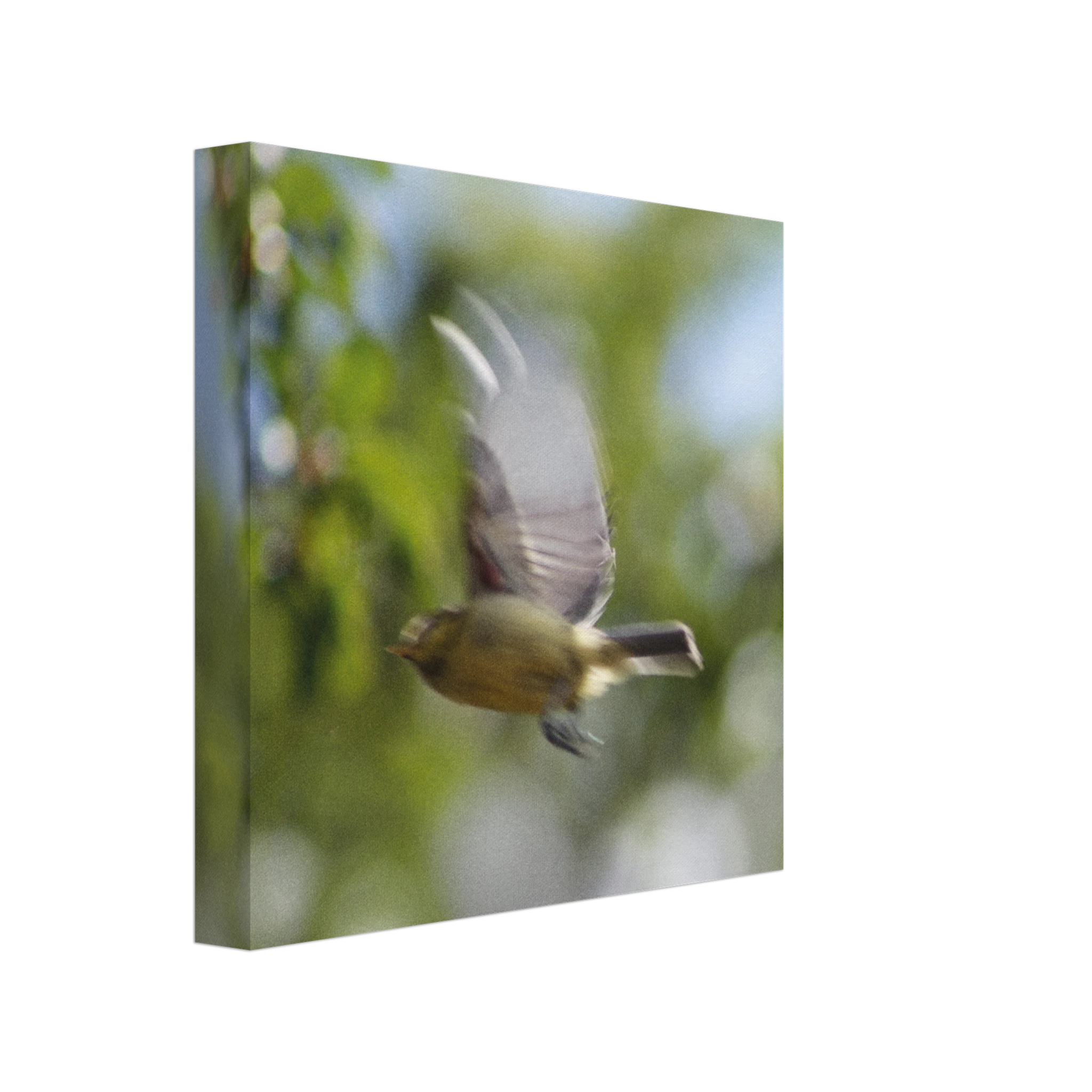 cfeaa3bf-e72a-48a2-874c-ca00a119cb54