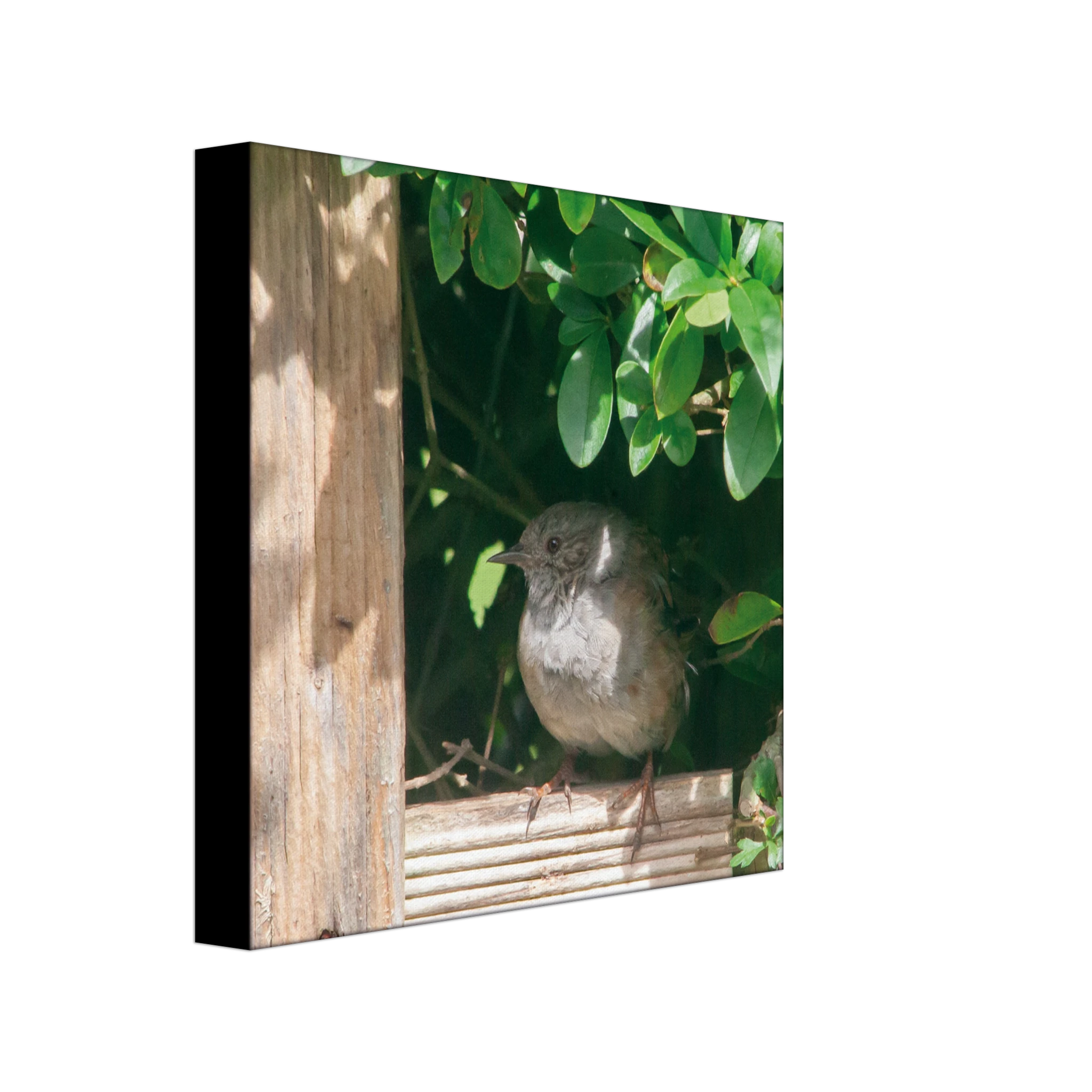 d15a645f-d96d-4ac0-b435-56f69d781149