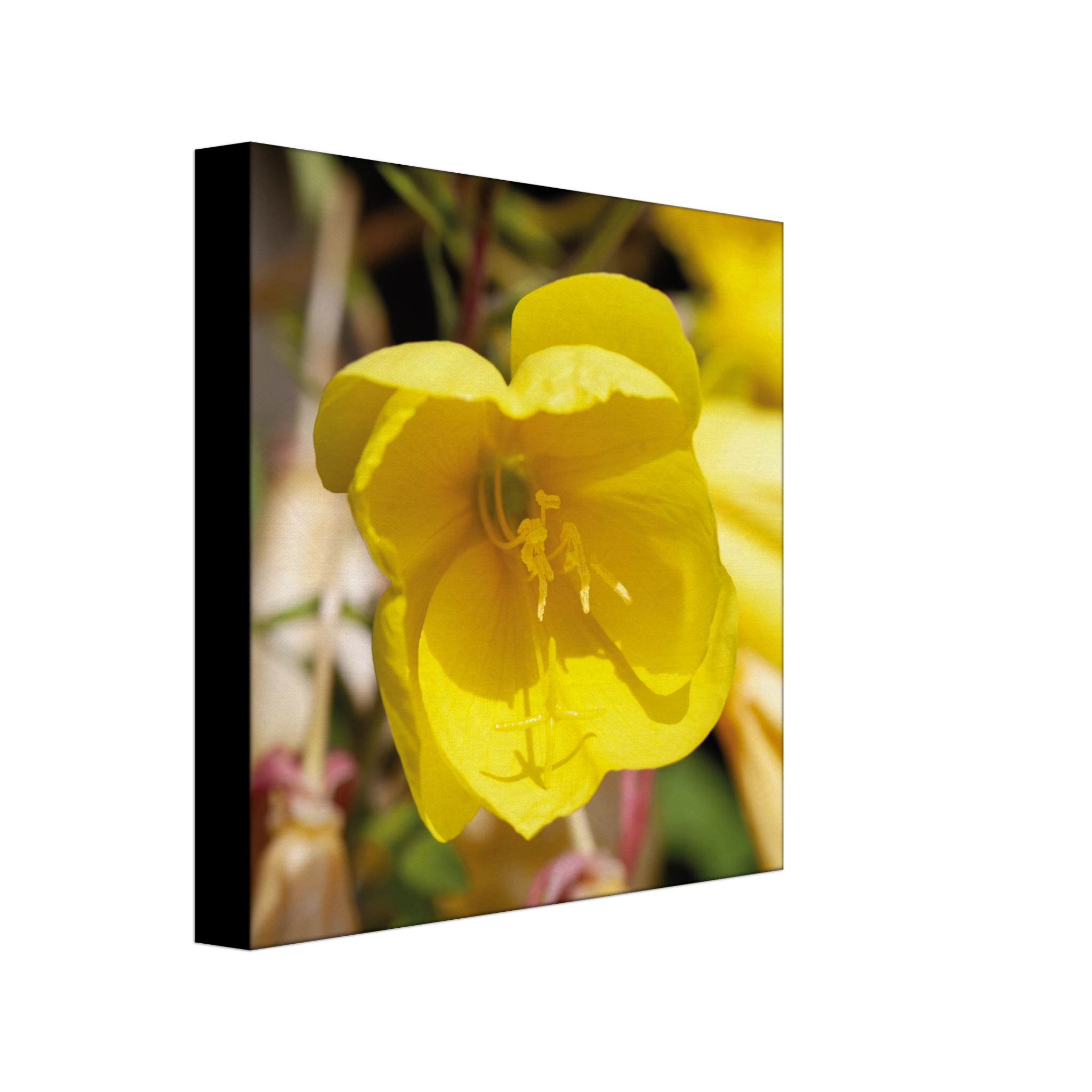 d3b6246e-8e94-4793-abb2-b0e5e5013803