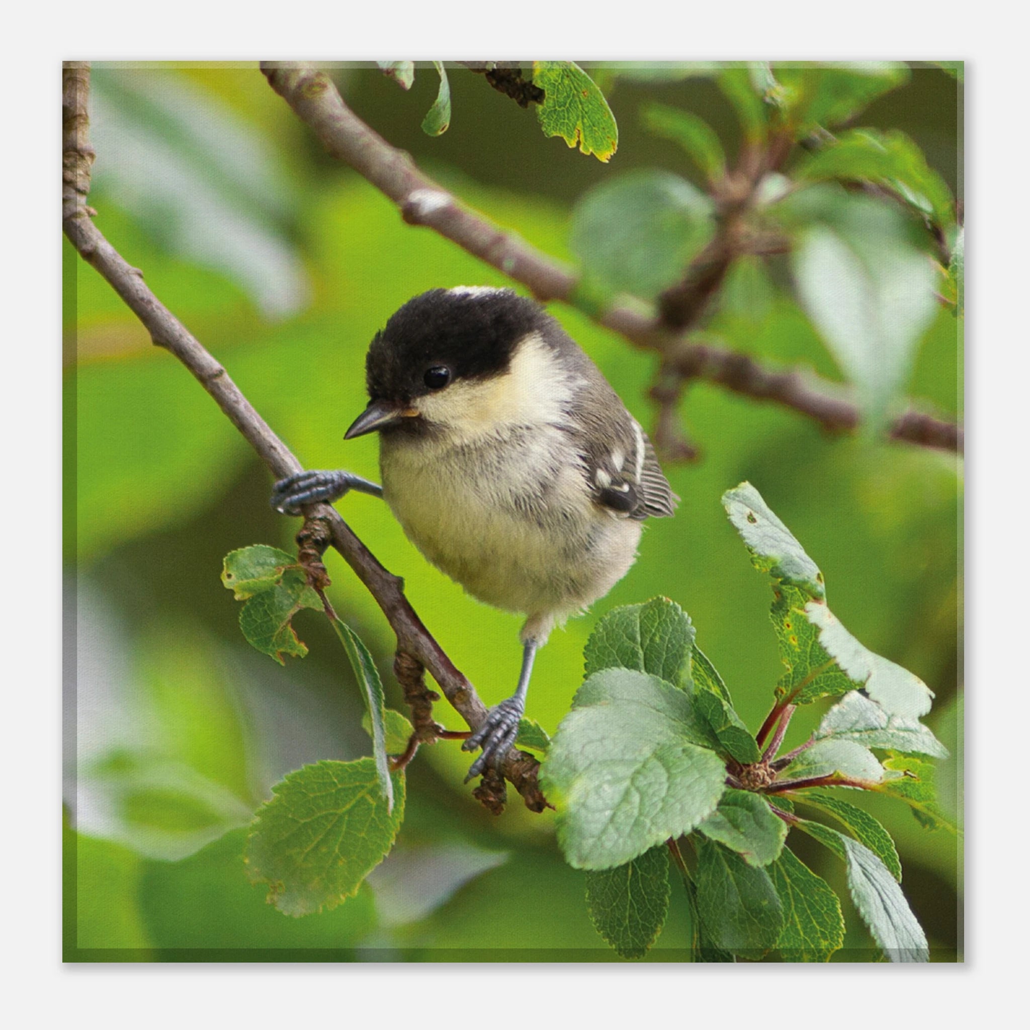 da25876c-afa0-4244-b851-1793dfd27057