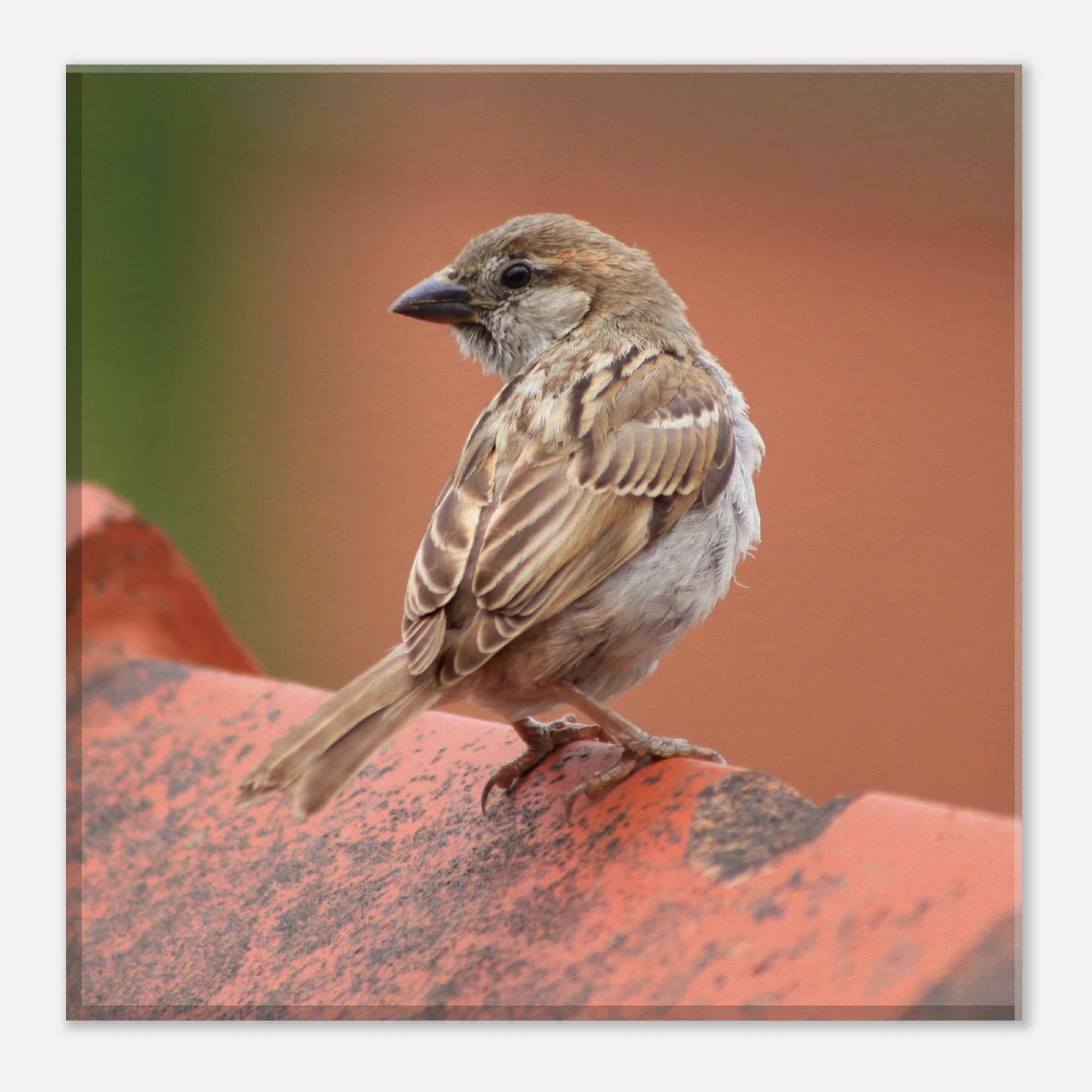 da796cc9-ffc5-417c-aa21-fe417675df2c