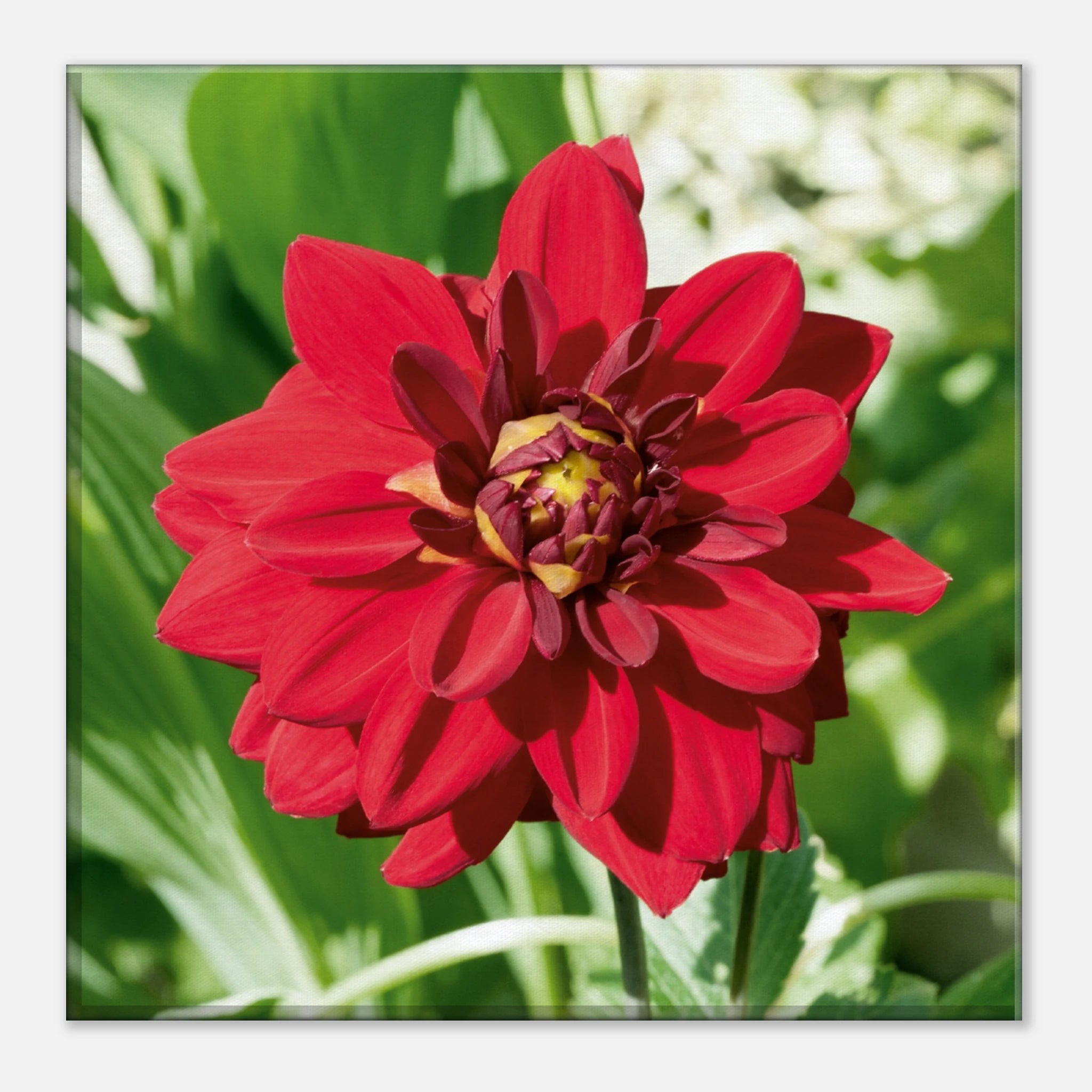 daac6150-3f71-4b17-bb51-d48cb5d0a573