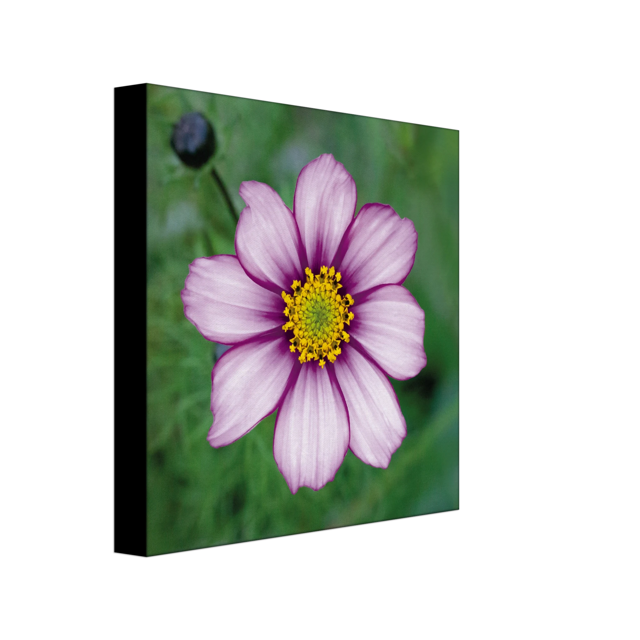 db806df7-42d3-4a14-a332-ed5ed61a7b1e