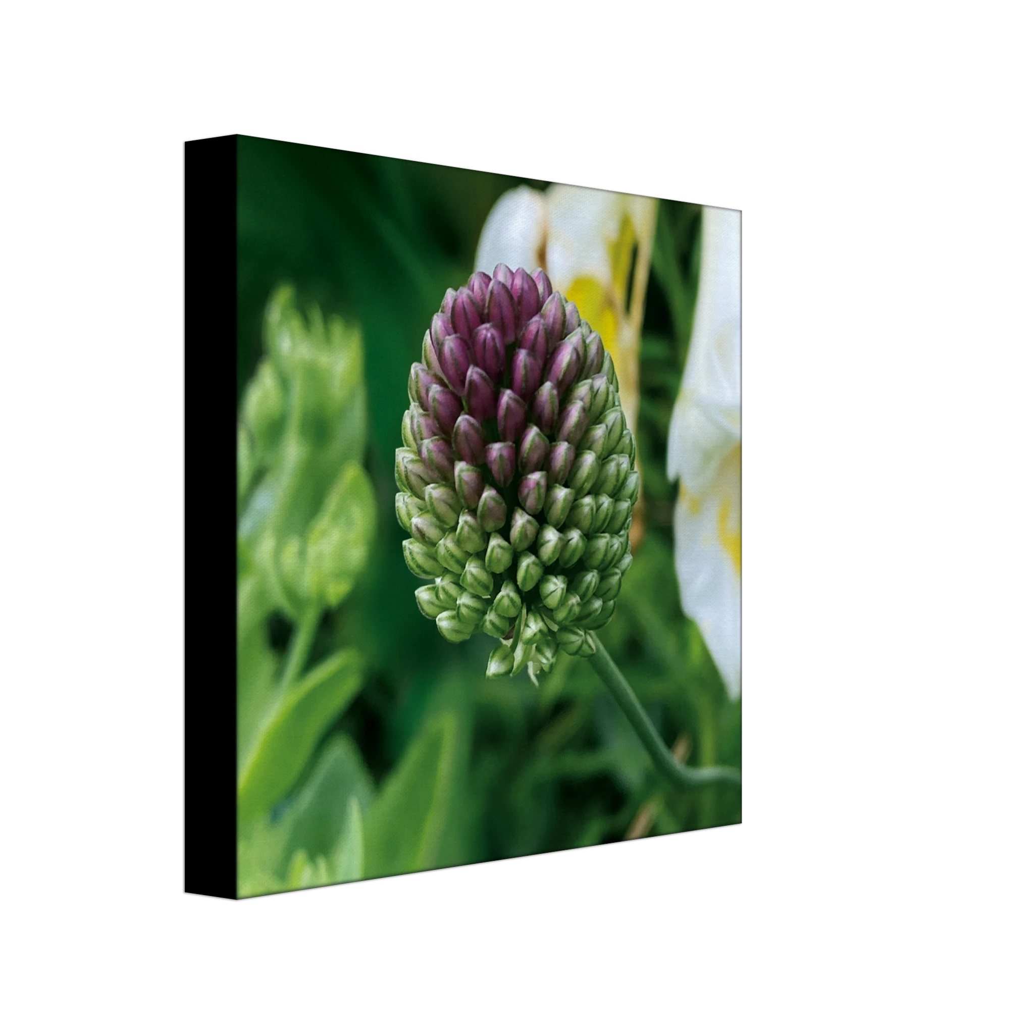 dc633454-bacd-4e13-9465-459dda570877