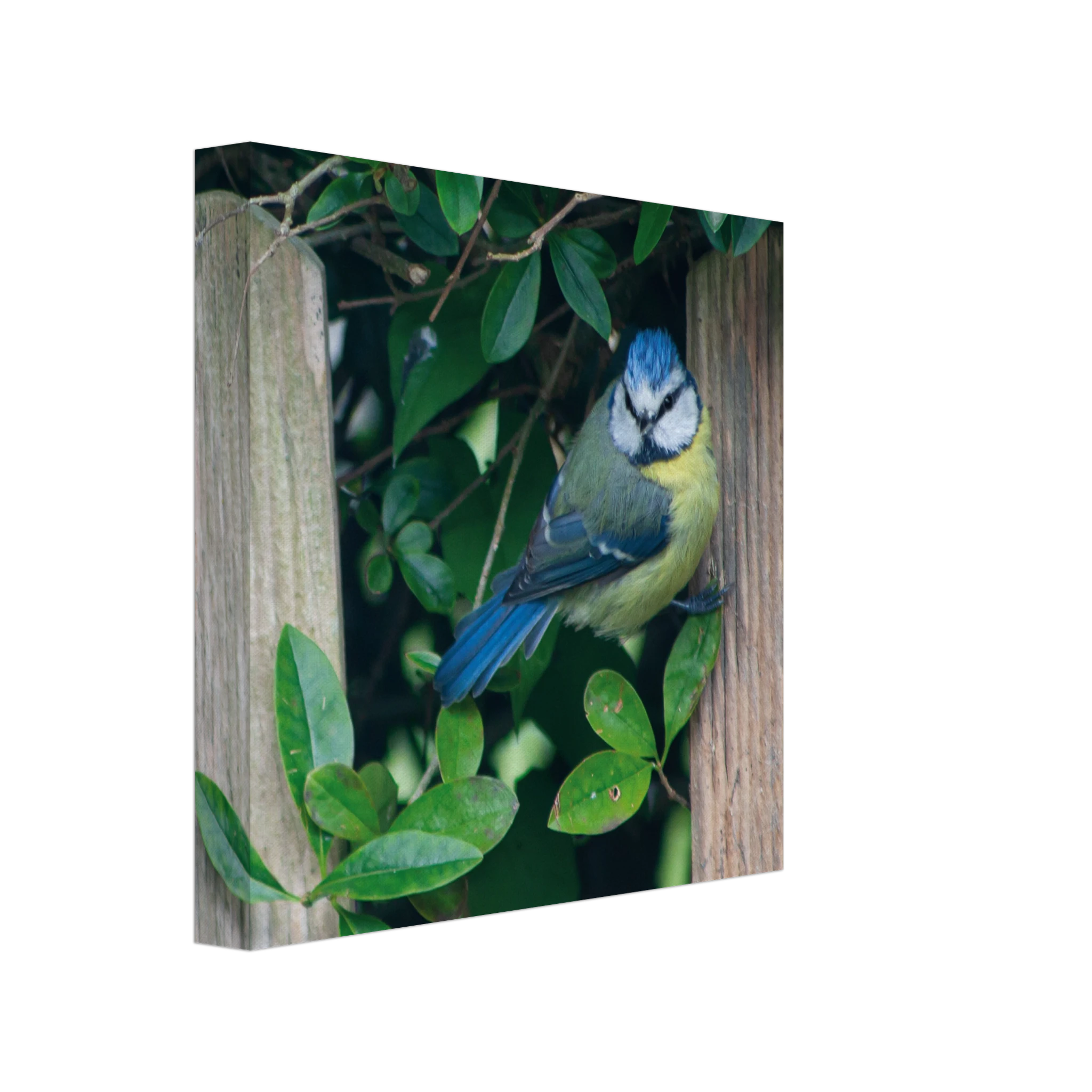 de43ad30-c103-4bc5-a127-2df00133dc4a