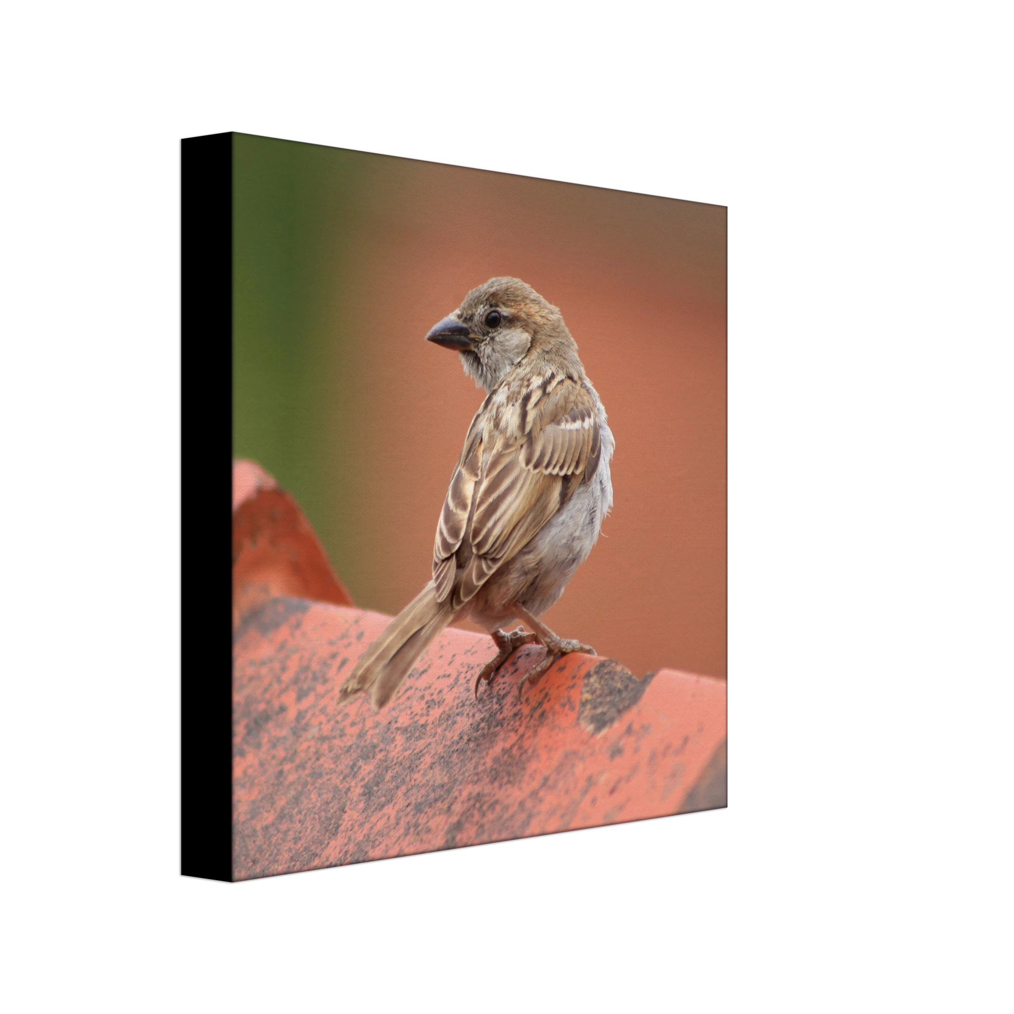 e23b1334-317a-4f16-a049-ccdf7151e912