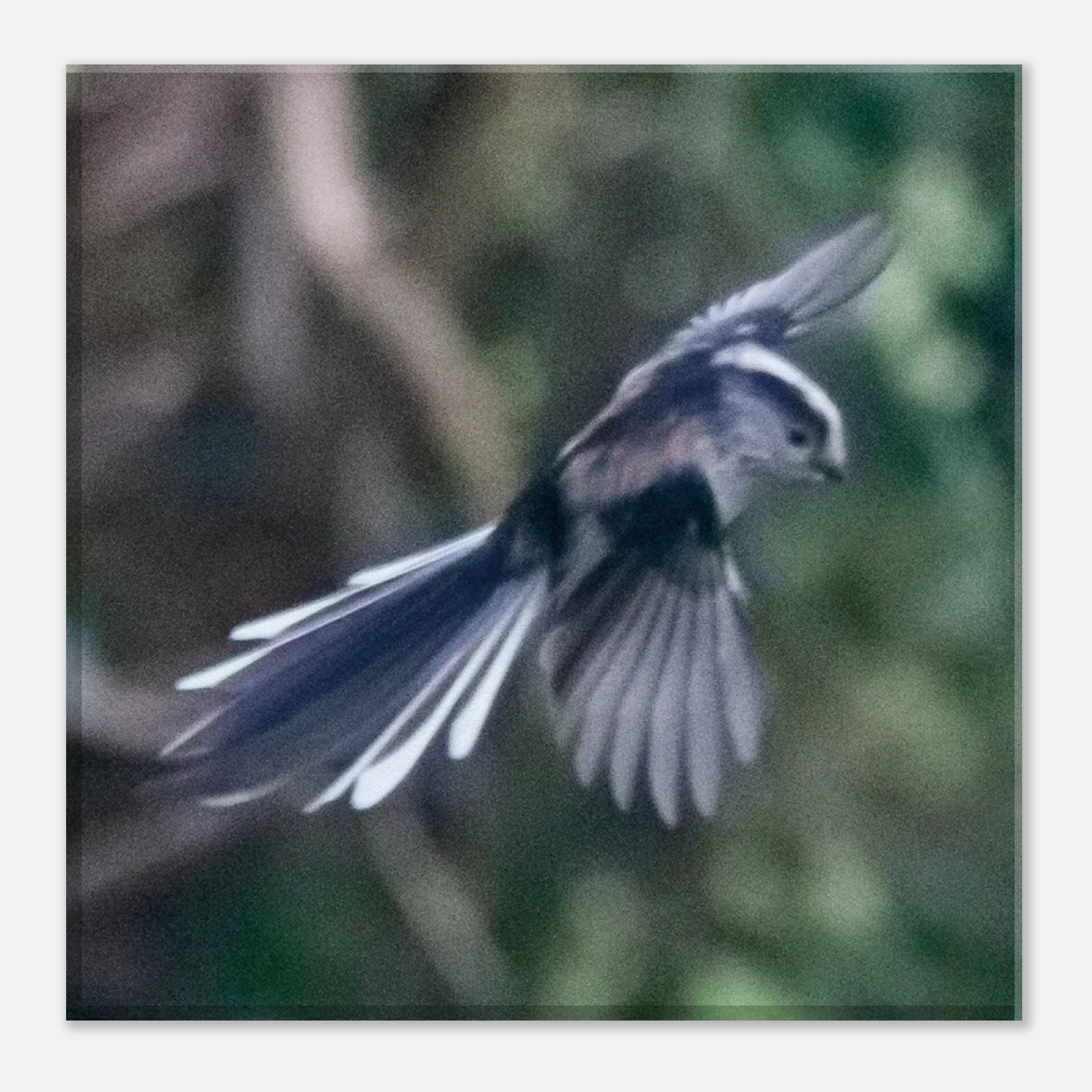 e36873ce-d885-4c3c-af4c-9c61275043e9