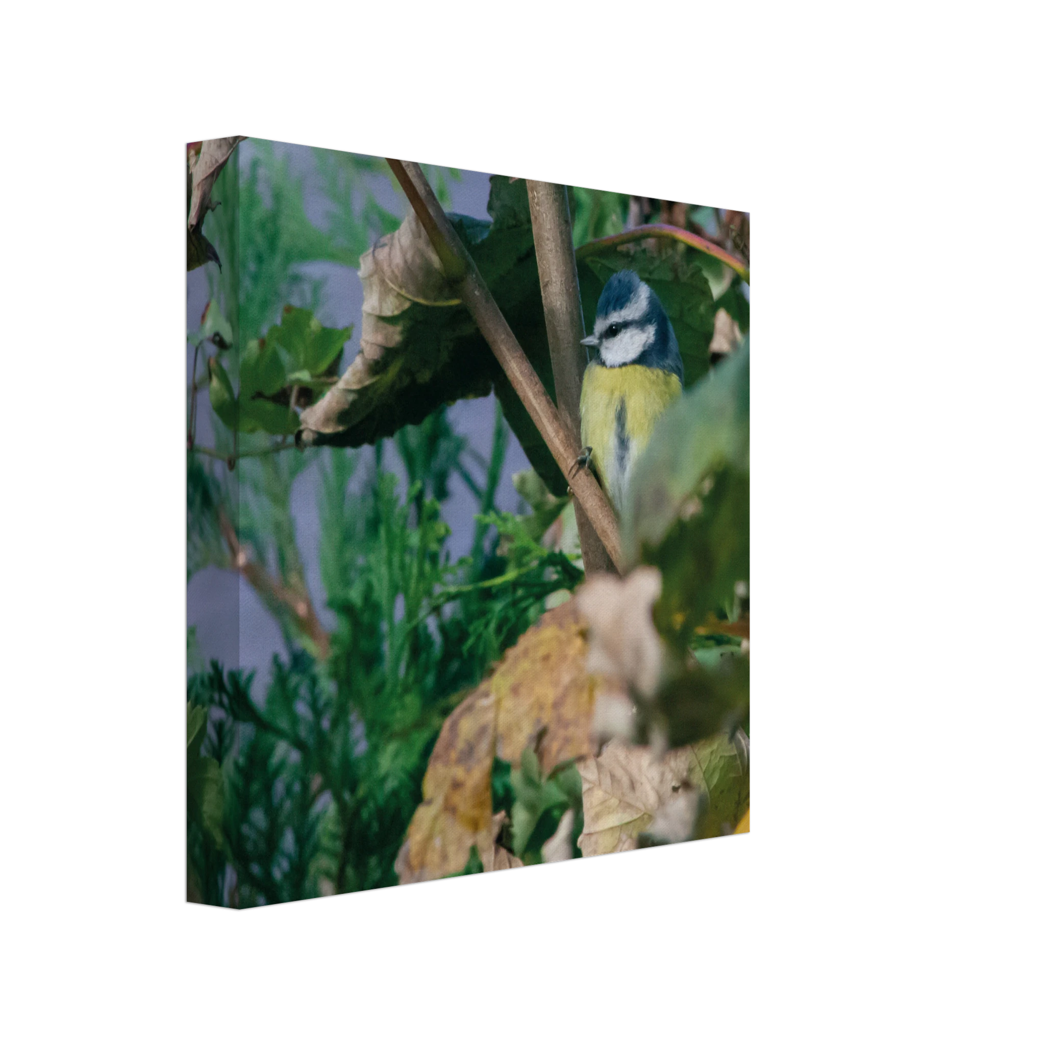 e80956d4-4dfa-4f37-a6d4-54f0e3af8834