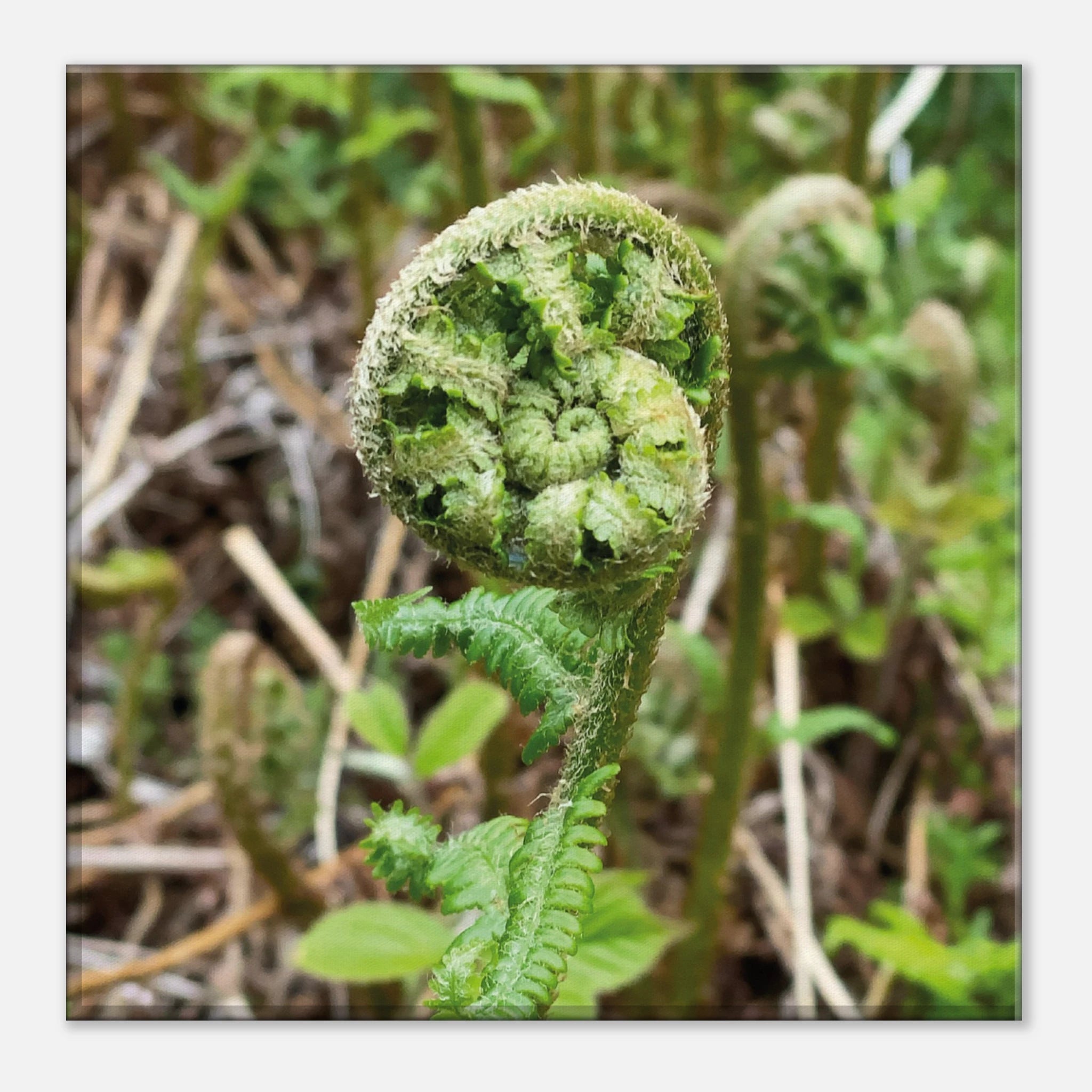 f2dcd946-0bf5-41d5-b9c1-42e8042359c1