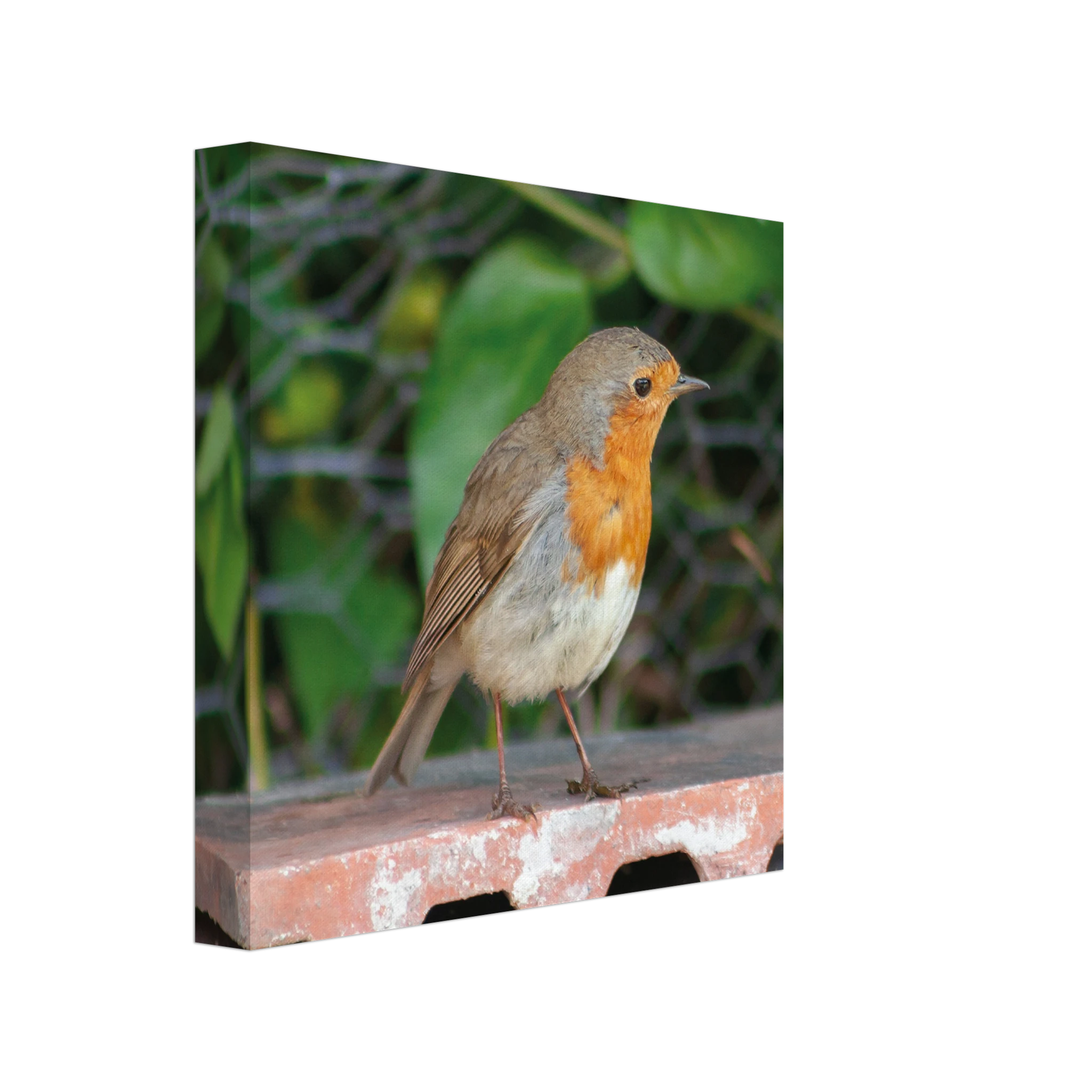 f3915317-44db-42ed-b9af-f8242cbe644f