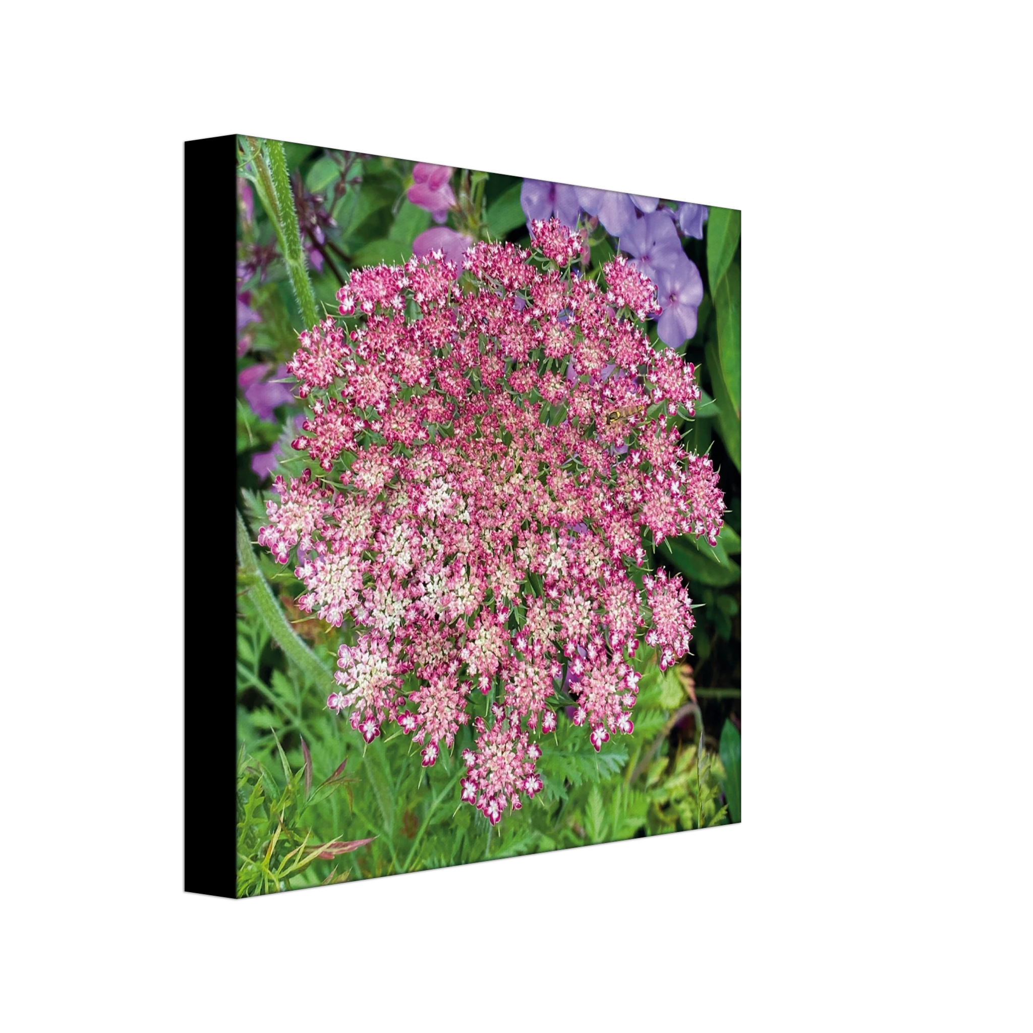 f5b4c00e-a326-402d-98c3-3c9012cd5f70