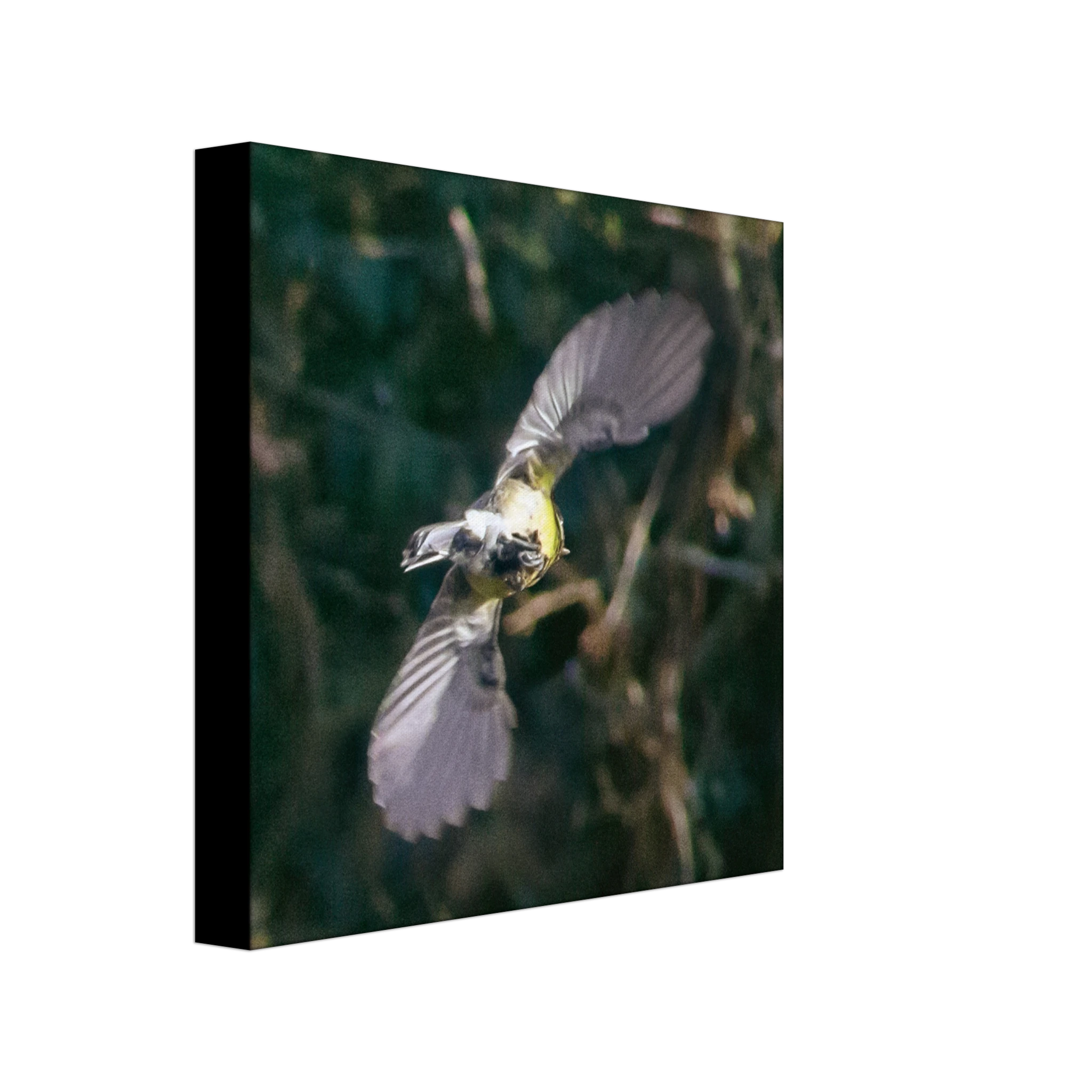 f768db4e-8ff3-4469-9e11-4165b7daab0f