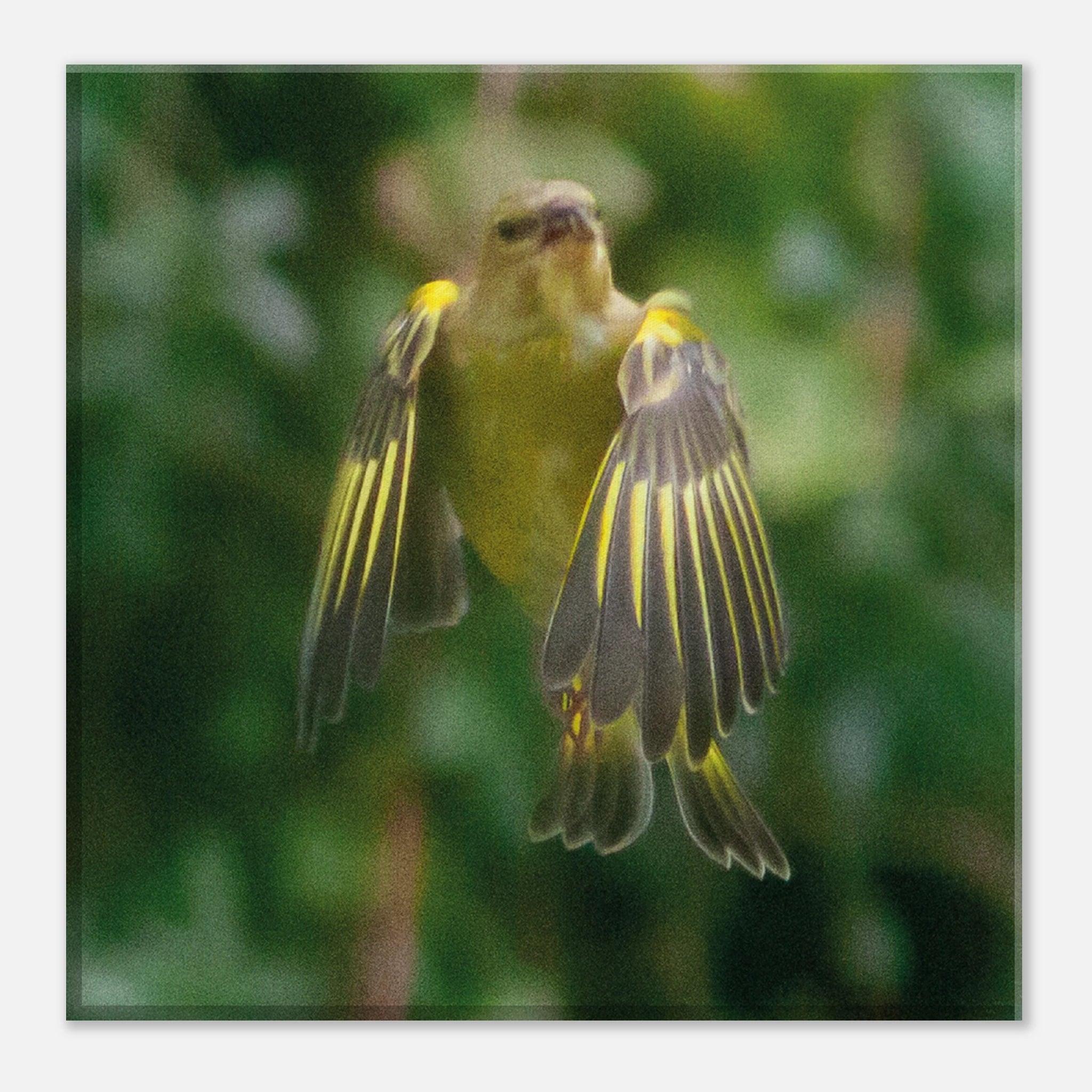 f9a21458-c62f-42dd-a599-fae67695bc56